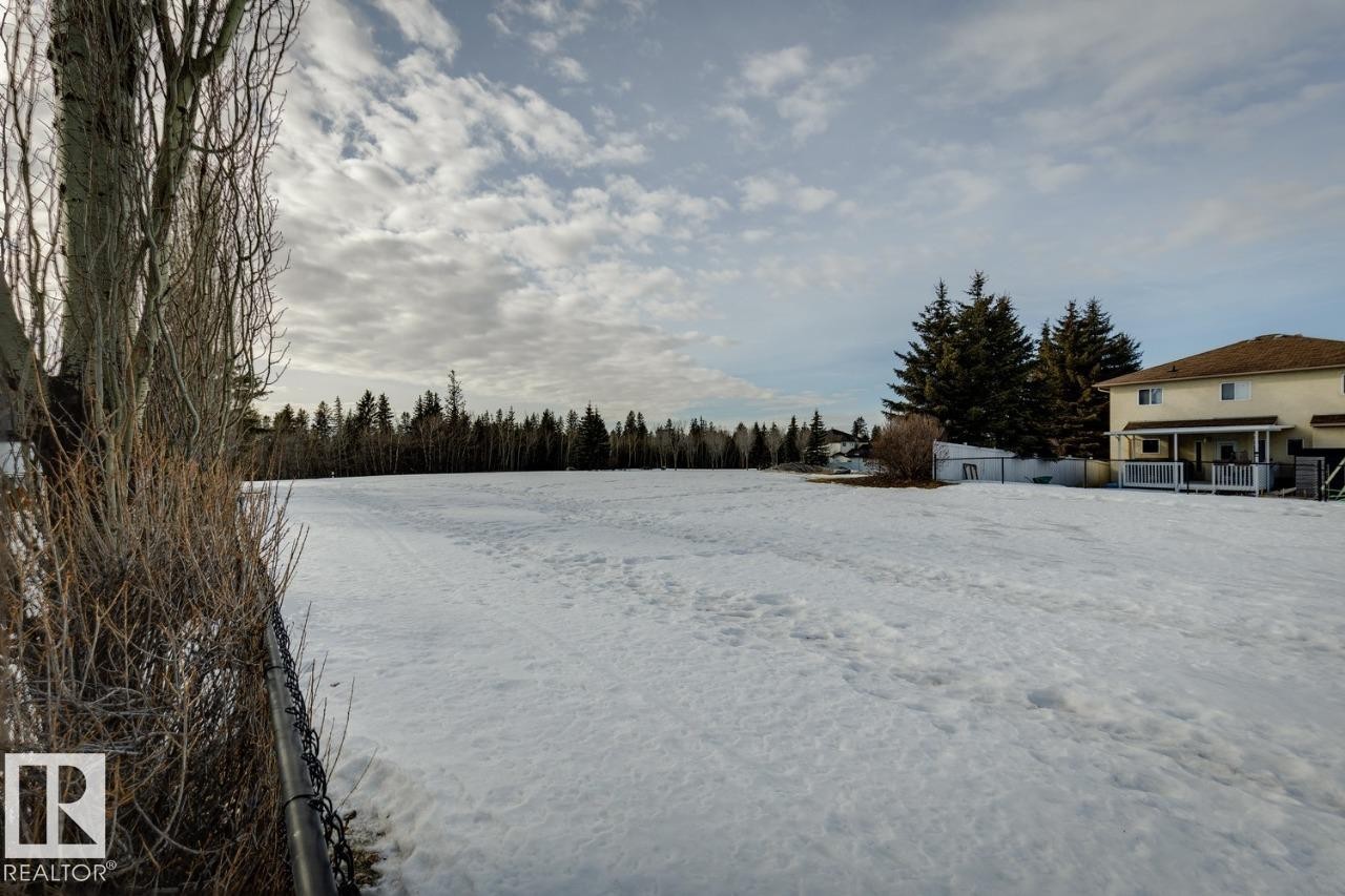 Large green space, ravine access - 38 3003 34 Avenue, Edmonton, AB - Outdoor