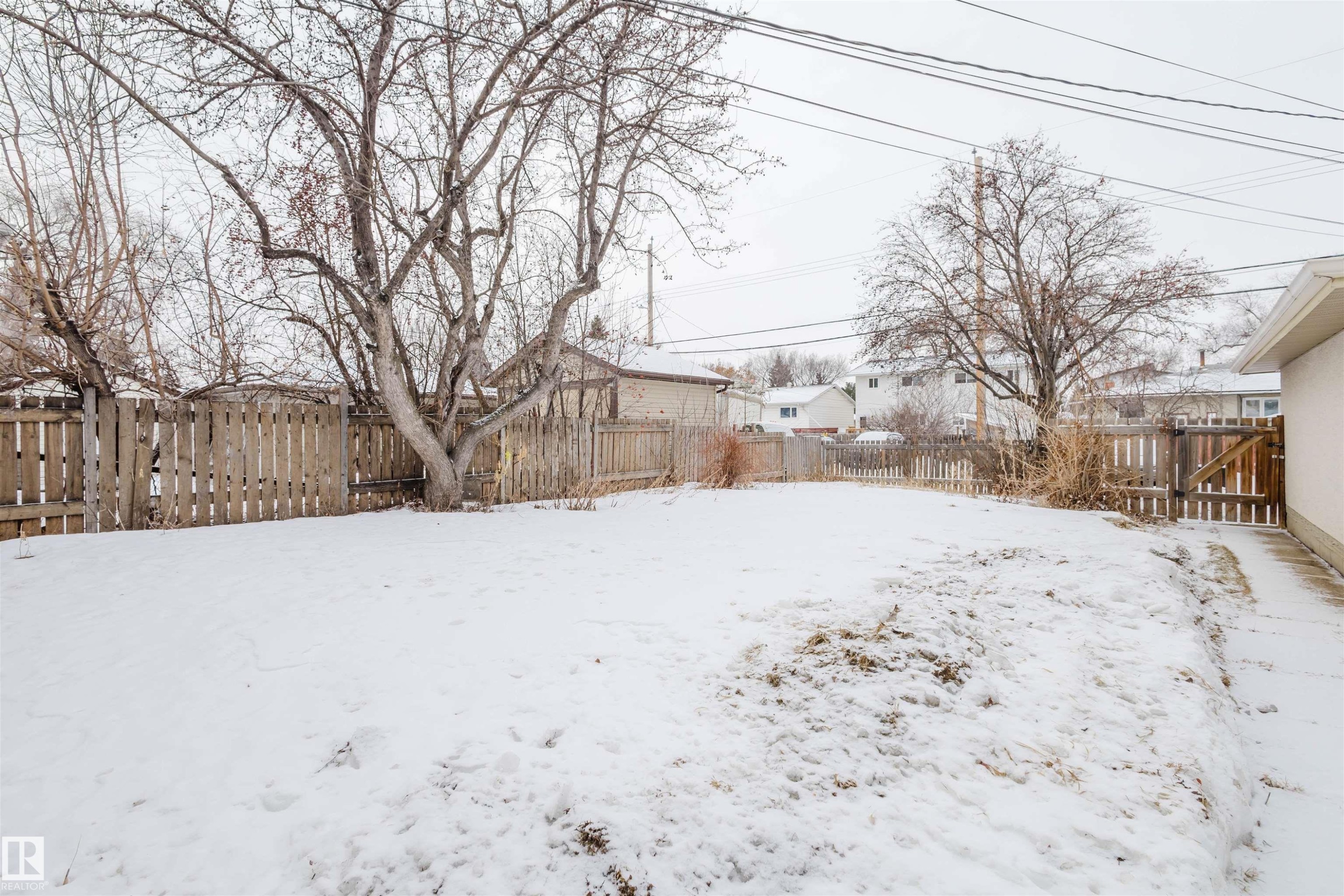Snowy yard with a fenced backyard - 6048 105B Street Nw, Edmonton, AB - Outdoor