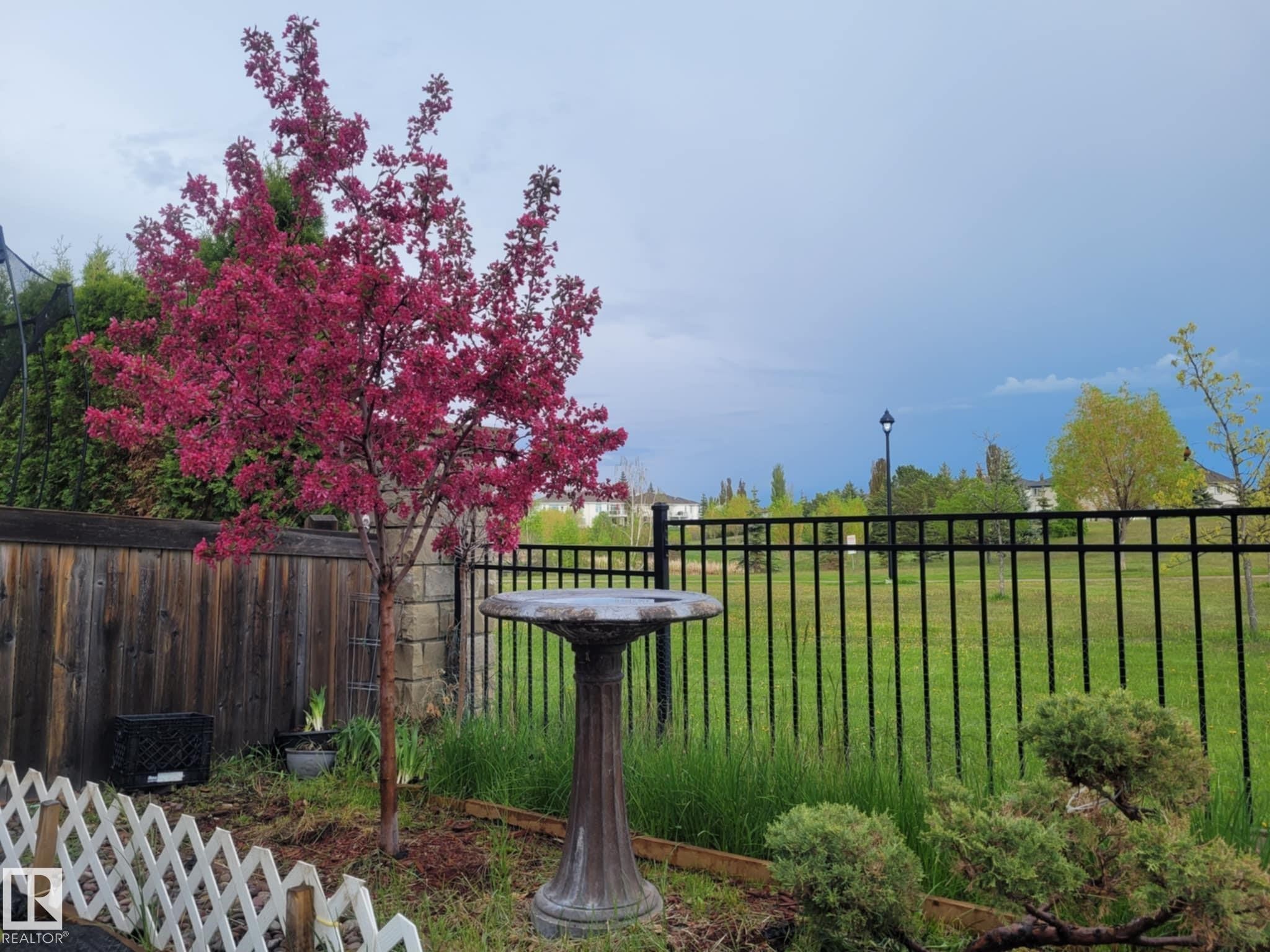 7507 Speaker Way, Edmonton, AB - Outdoor