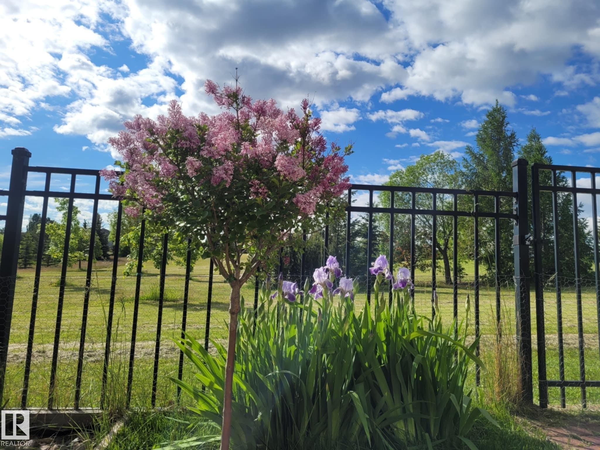 7507 Speaker Way, Edmonton, AB - Outdoor With View