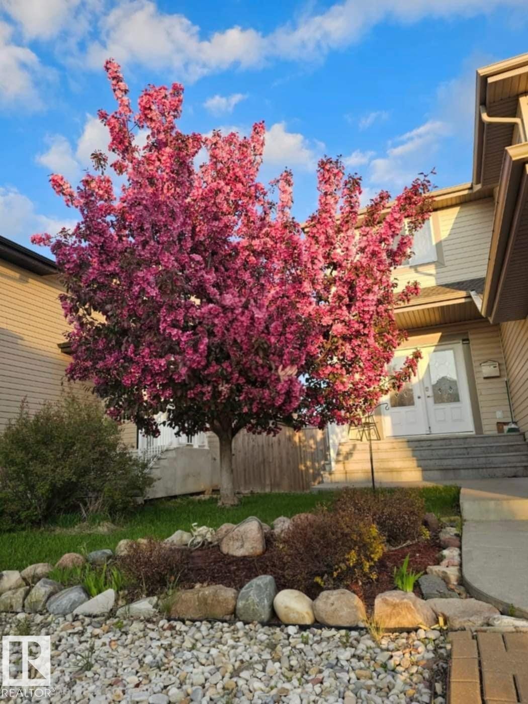 7507 Speaker Way, Edmonton, AB - Outdoor