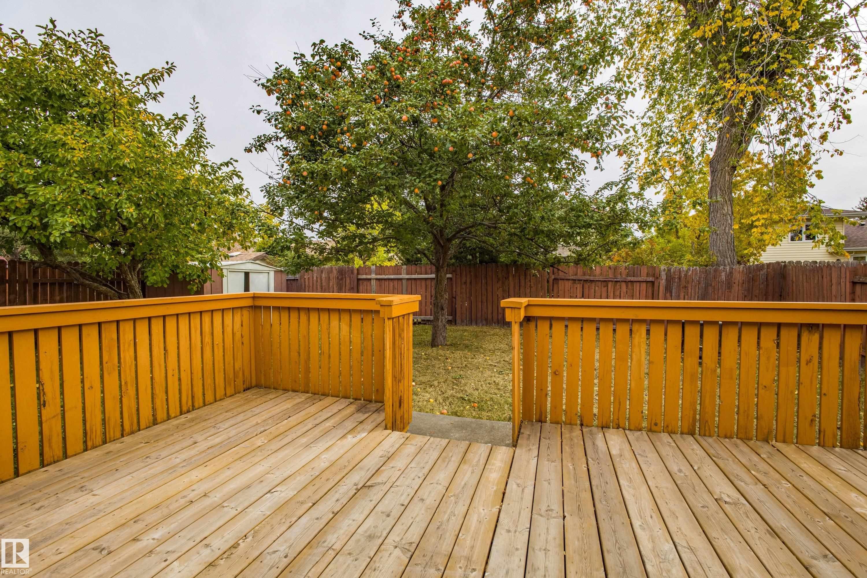 3835 47 Street, Edmonton, AB - Outdoor With Deck Patio Veranda
