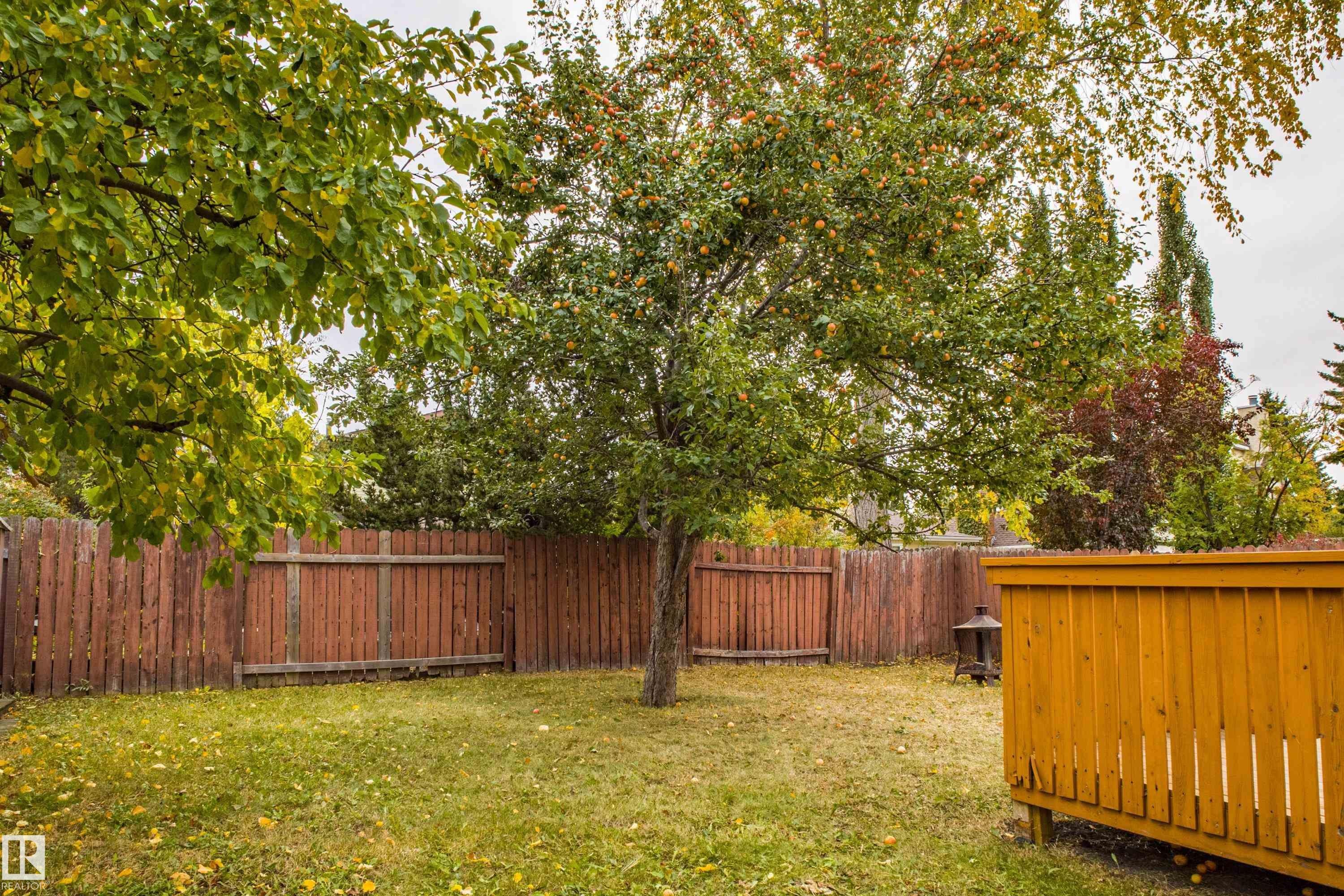 3835 47 Street, Edmonton, AB - Outdoor