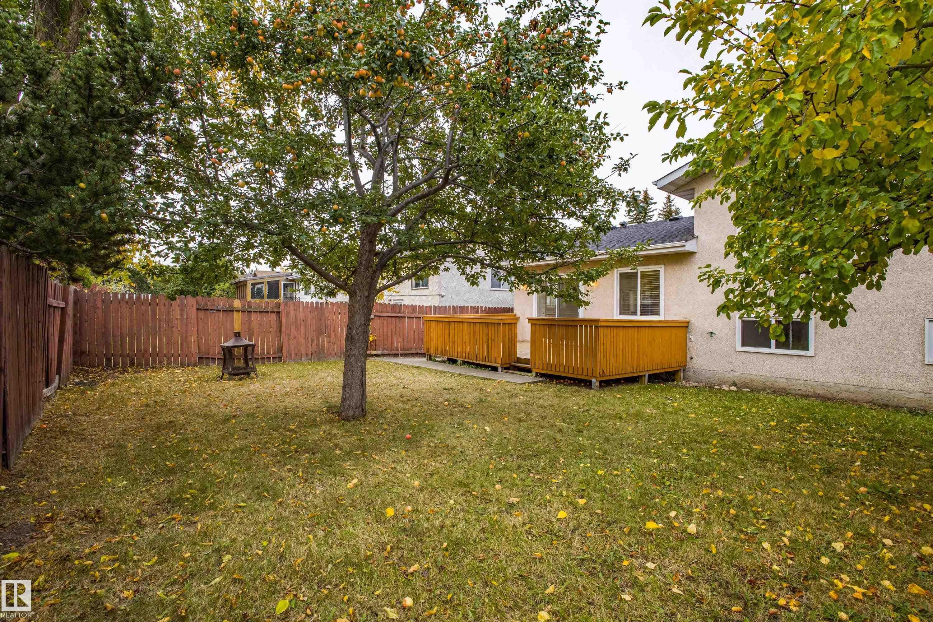 3835 47 Street, Edmonton, AB - Outdoor With Backyard