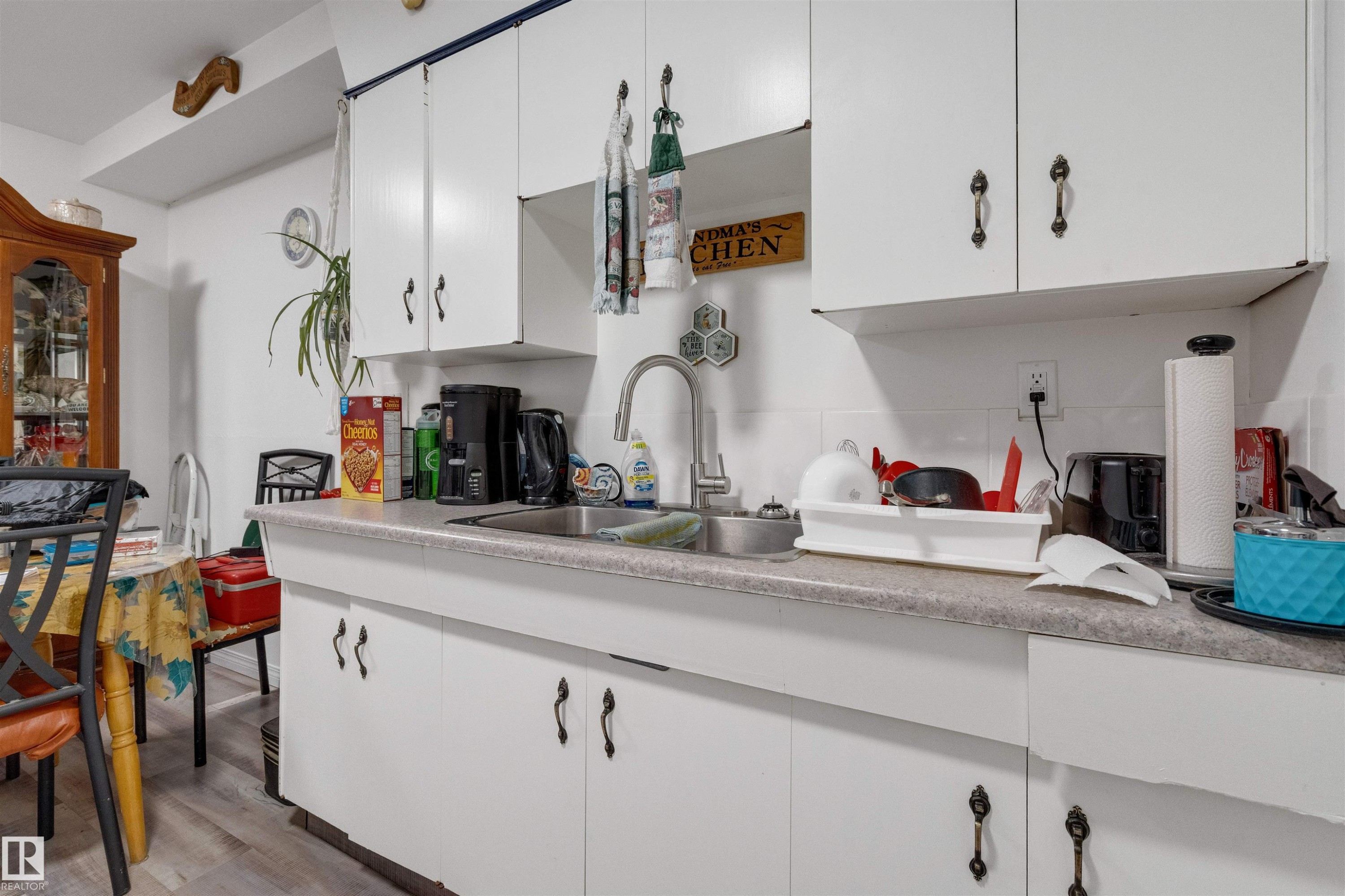 10619 64 Avenue, Edmonton, AB - Indoor Photo Showing Kitchen With Double Sink