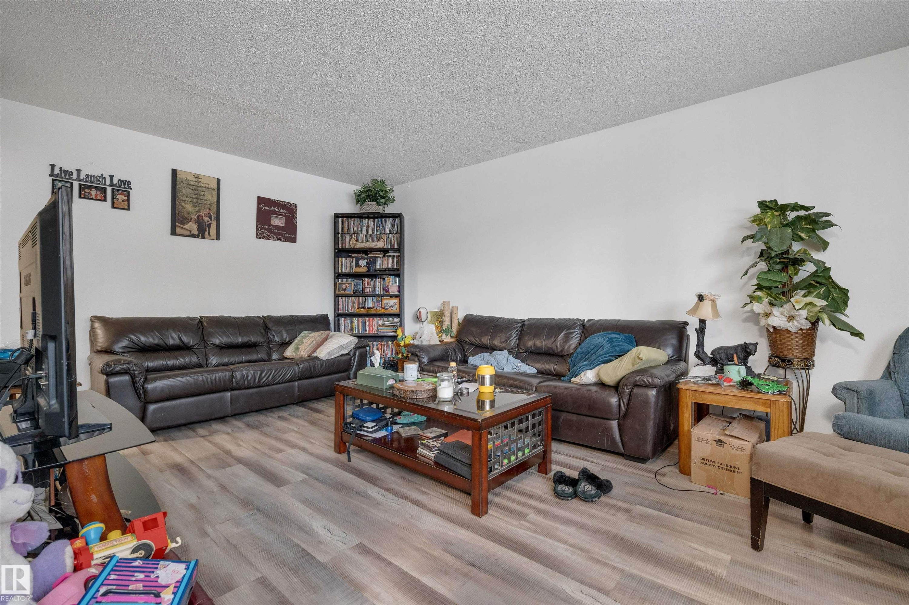 10619 64 Avenue, Edmonton, AB - Indoor Photo Showing Living Room