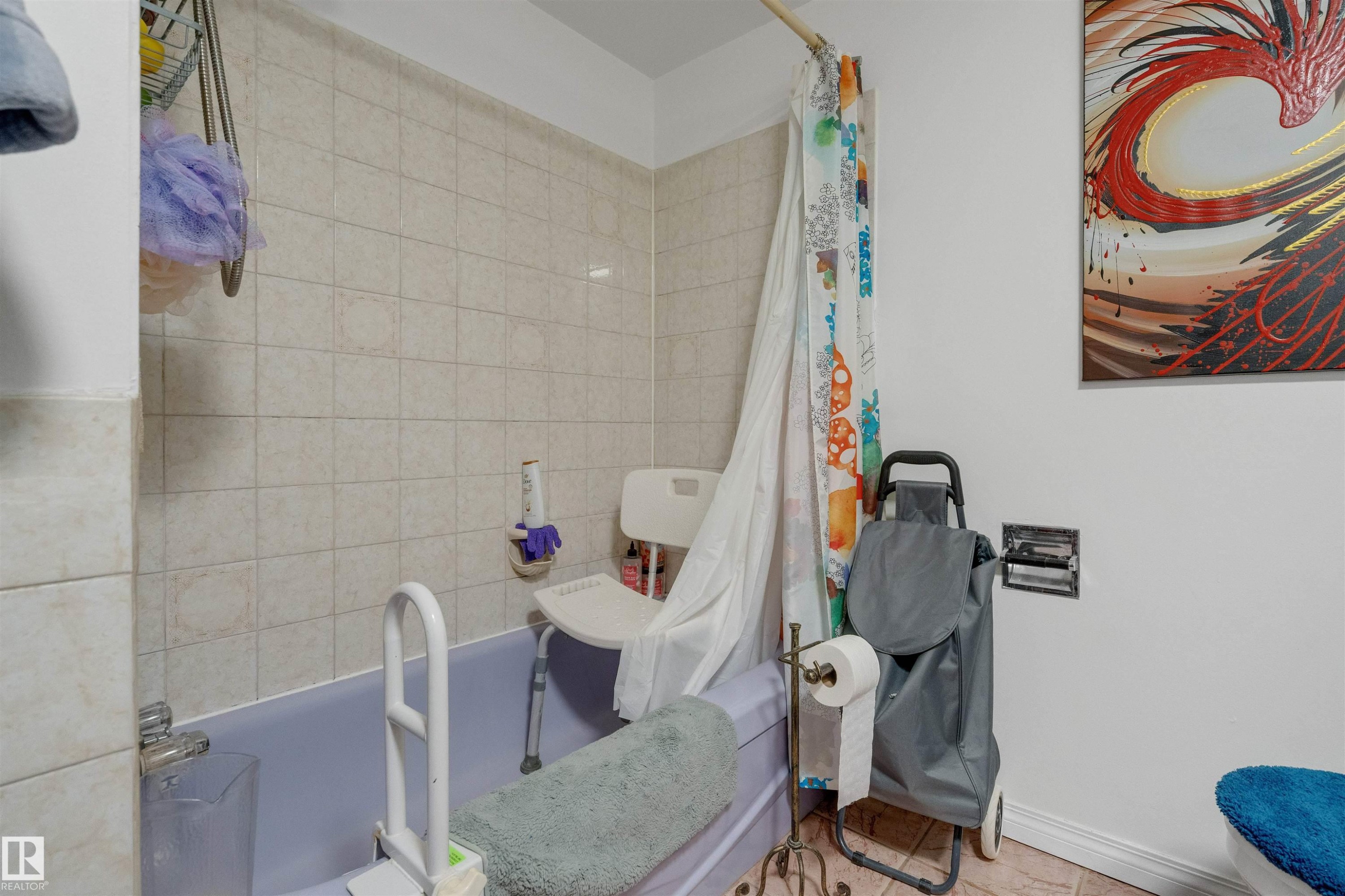 10619 64 Avenue, Edmonton, AB - Indoor Photo Showing Bathroom