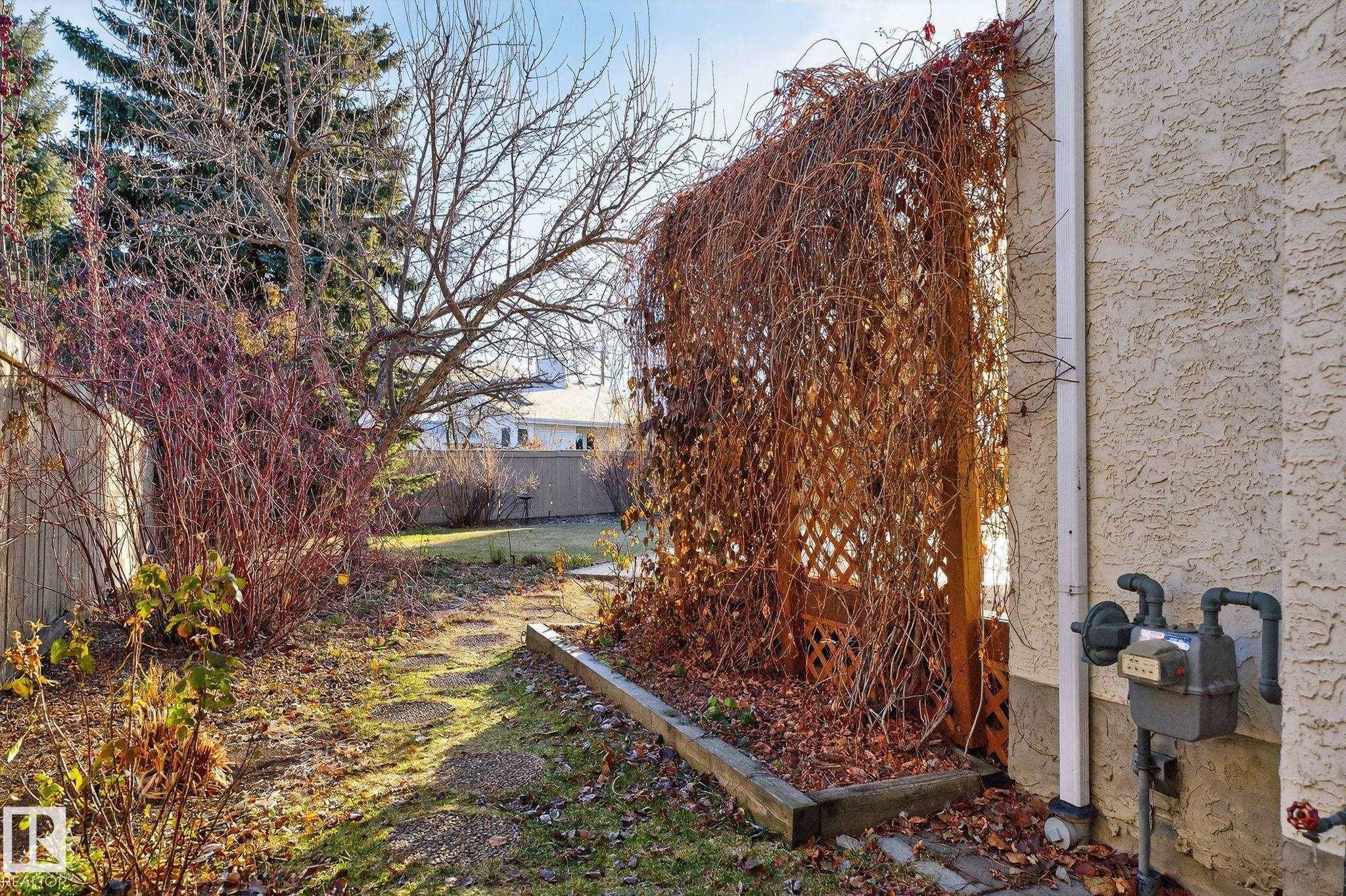 View of fenced yard - 313 Hedley Way, Edmonton, AB - Outdoor
