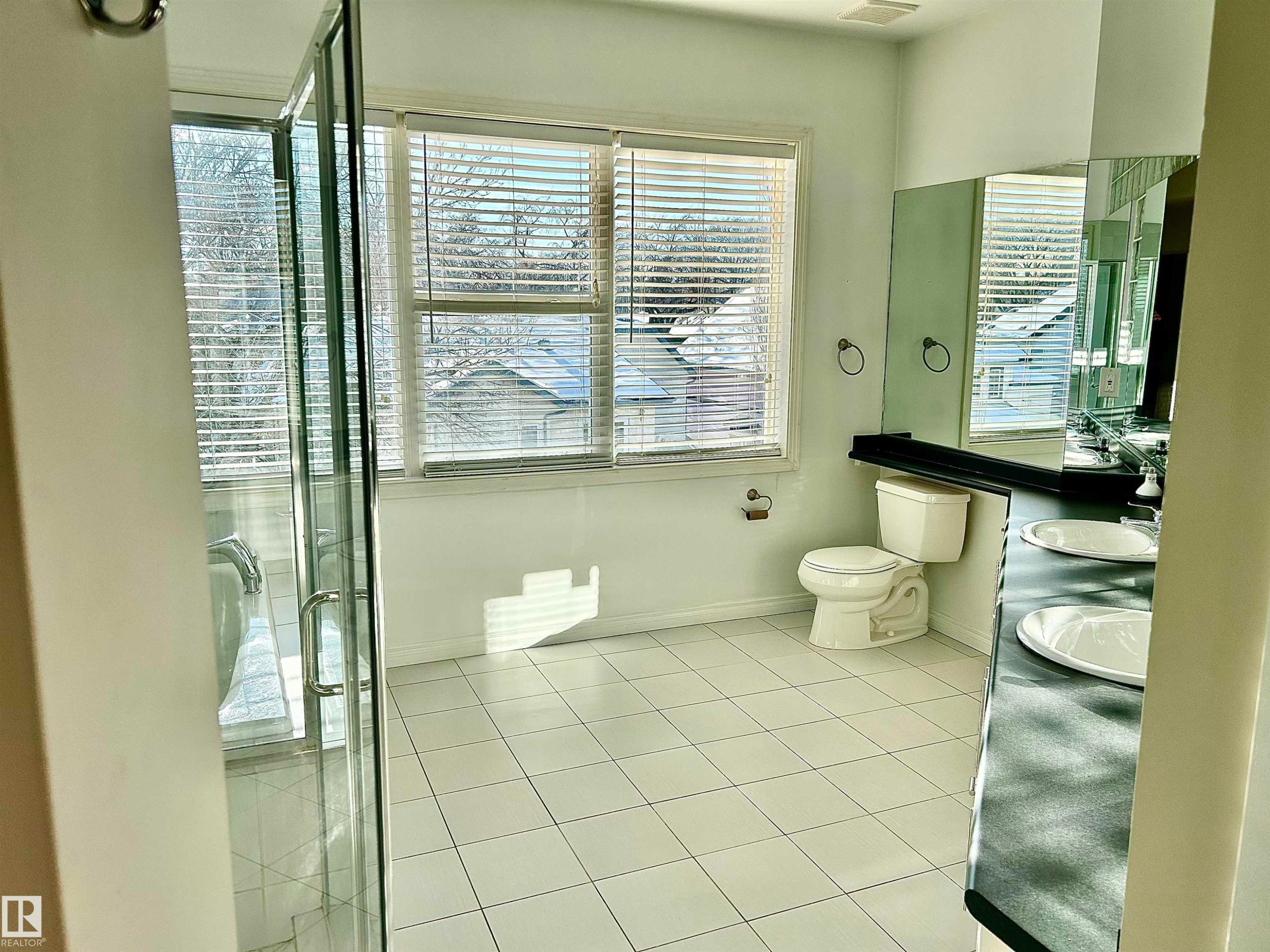 213 10939 82 Avenue, Edmonton, AB - Indoor Photo Showing Bathroom