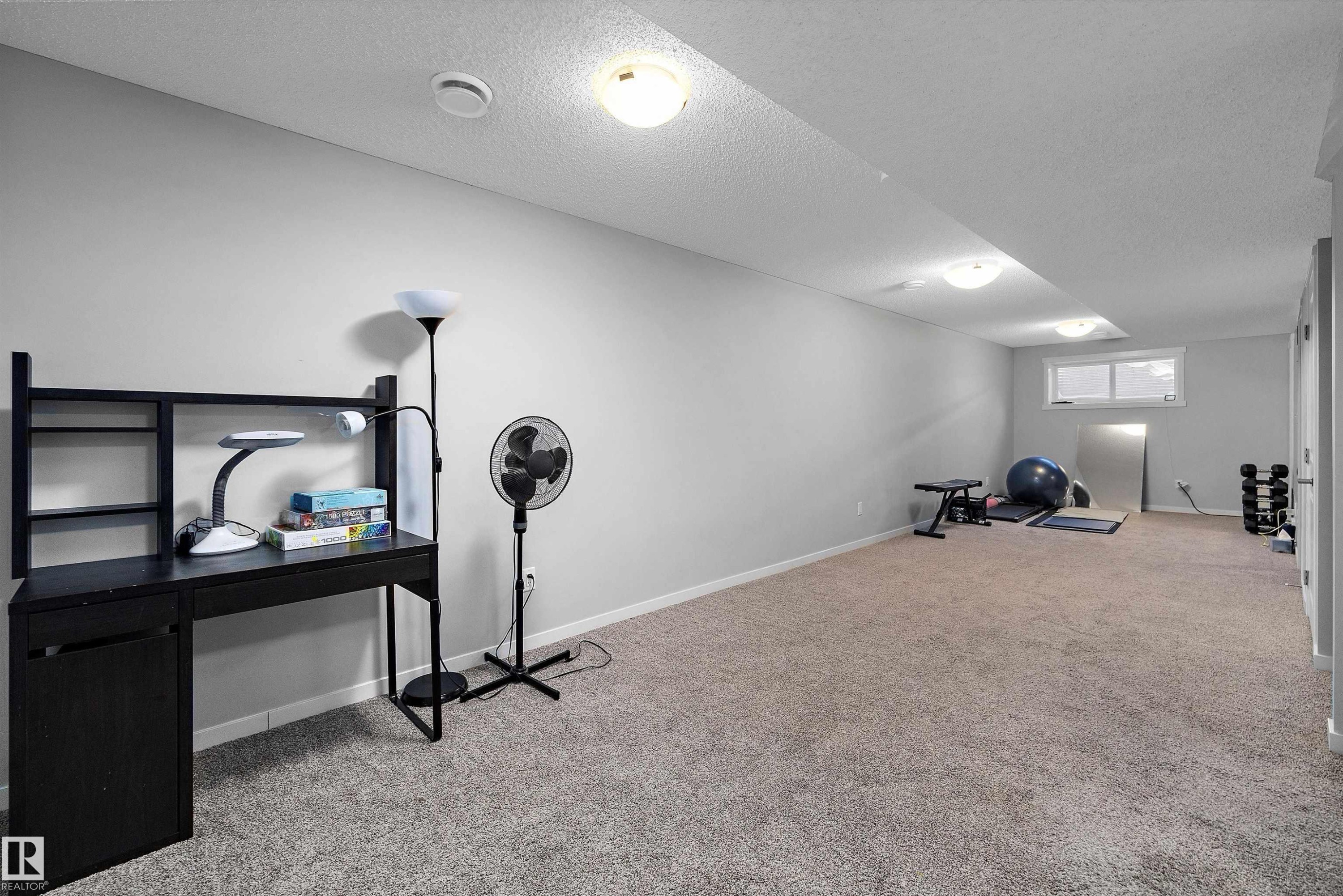 20106 27 Avenue, Edmonton, AB - Indoor