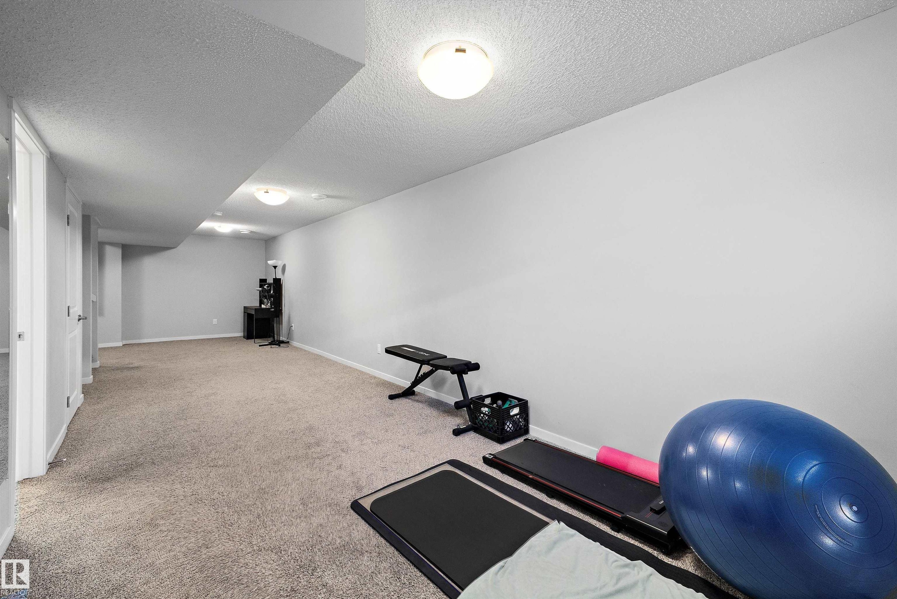 20106 27 Avenue, Edmonton, AB - Indoor Photo Showing Gym Room