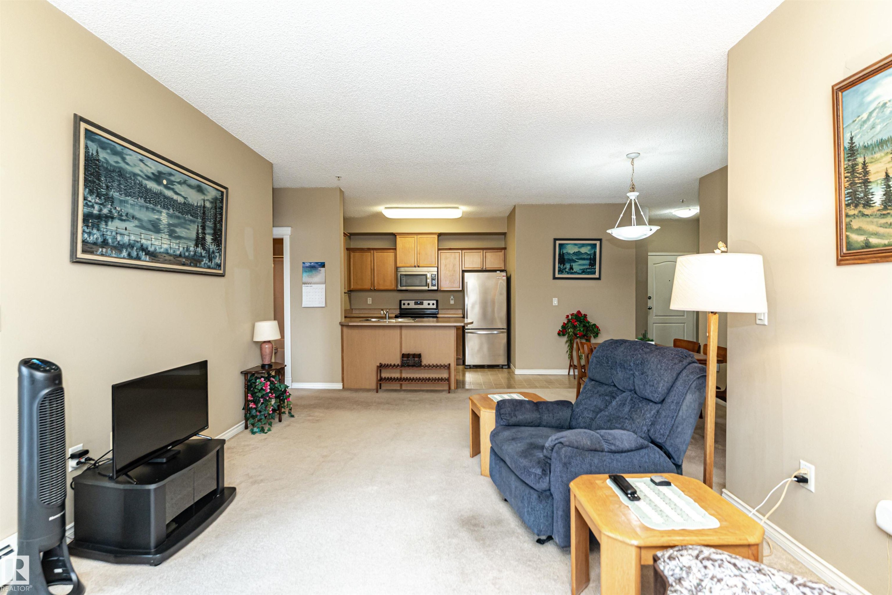 227 16807 100 Avenue, Edmonton, AB - Indoor Photo Showing Living Room