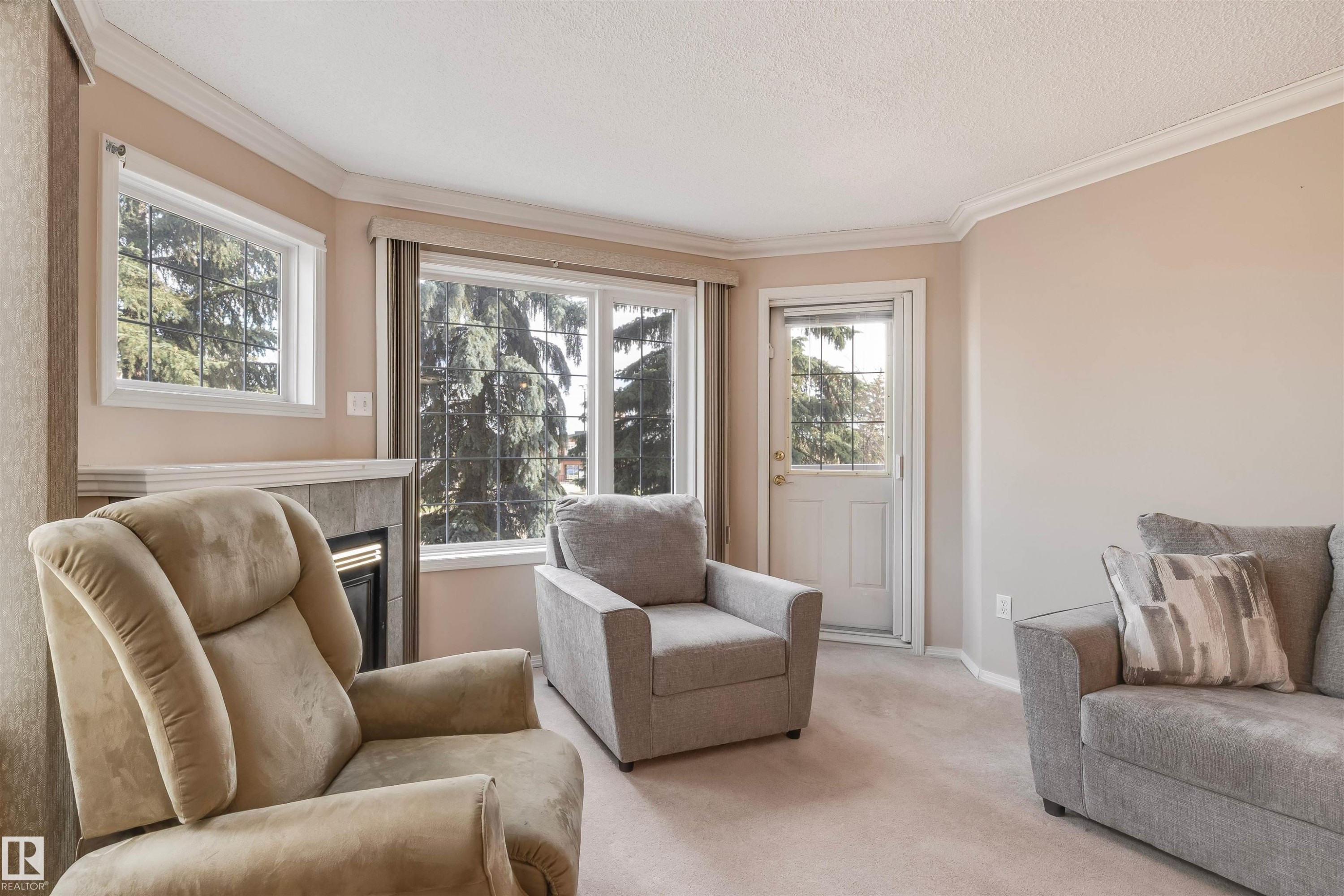 Sitting room featuring crown molding, carpet flooring, a fireplace, and a textured ceiling - 209 17150 94A Avenue, Edmonton, AB - Indoor Photo Showing Living Room