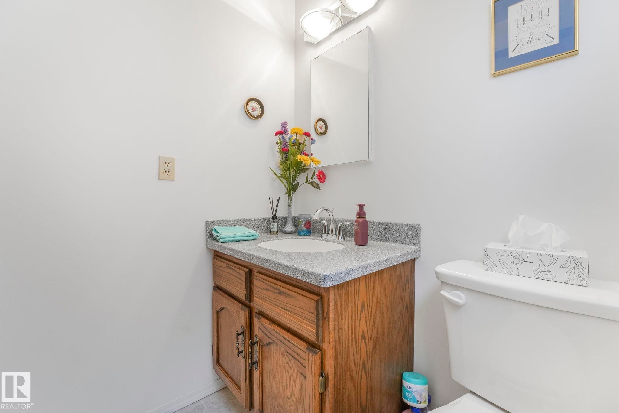 Half bathroom with toilet and vanity - 15909 112 B Street Nw, Edmonton, AB - Indoor Photo Showing Bathroom