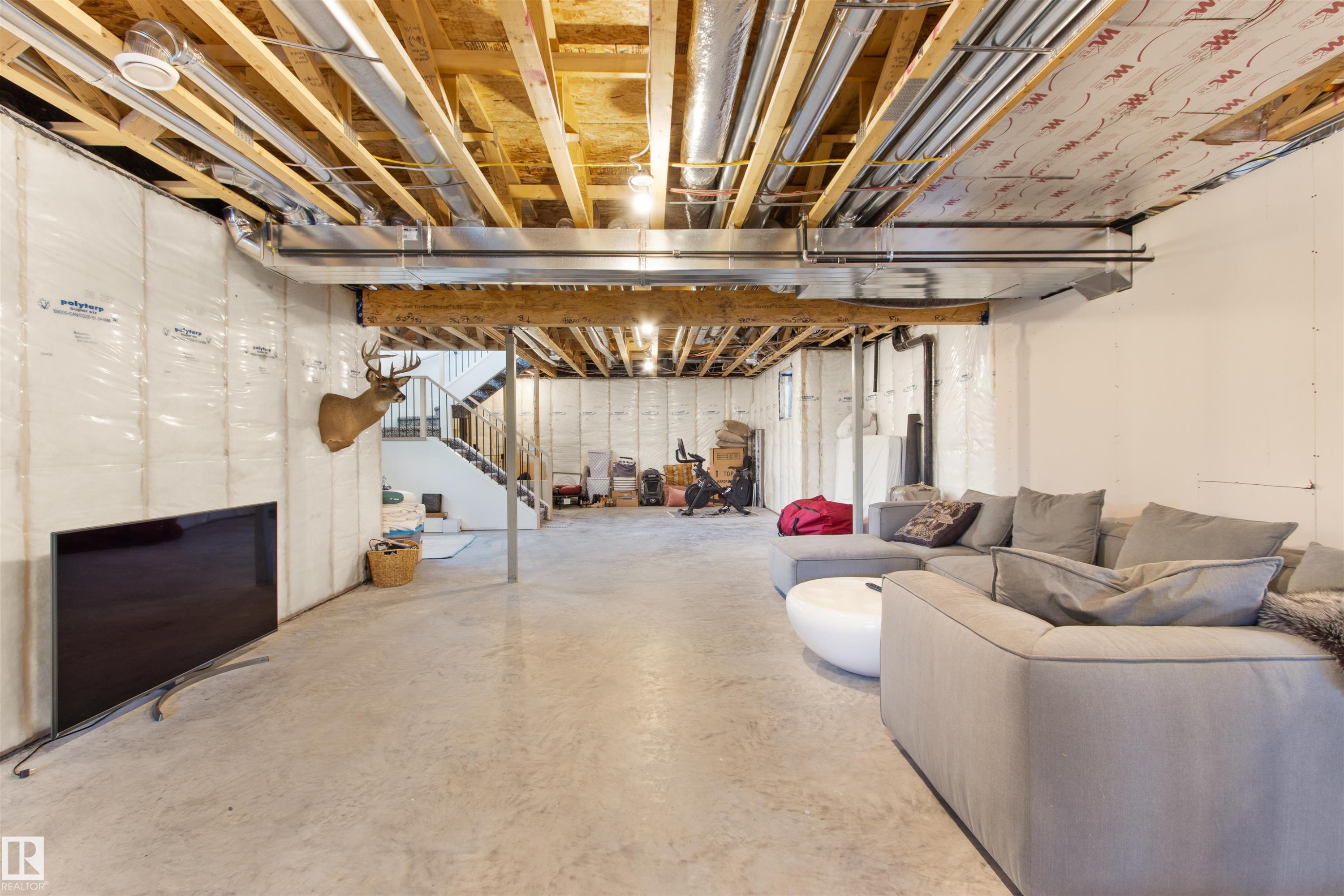 49213 Range Road 82, Rural Brazeau County, AB - Indoor Photo Showing Basement