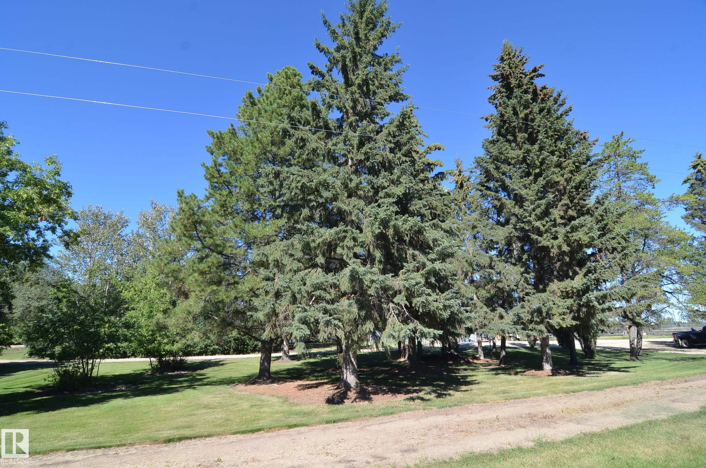 59225 Rge Rd 31, Rural Barrhead County, AB - Outdoor With View