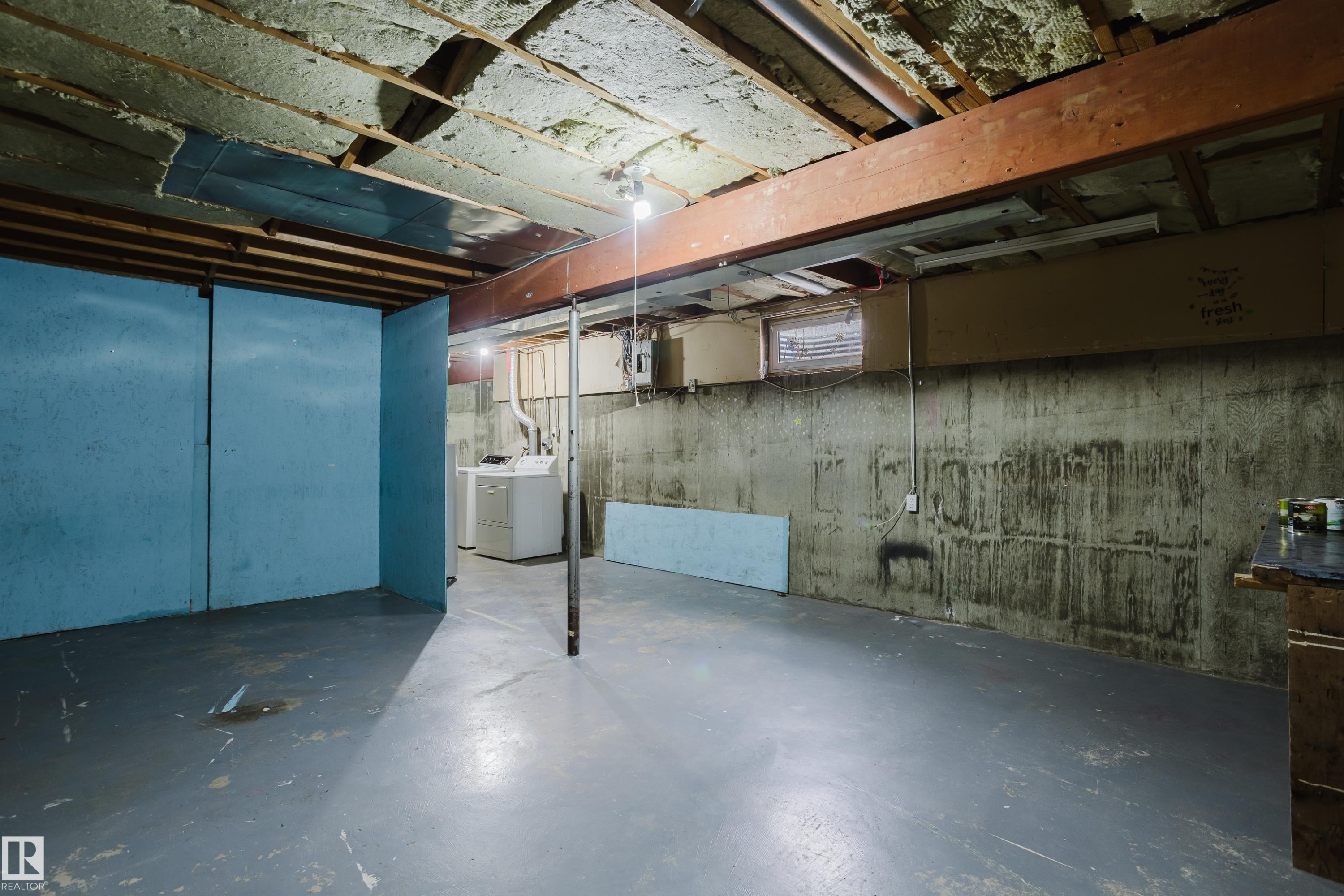 7032 Mill Woods Road S, Edmonton, AB - Indoor Photo Showing Basement