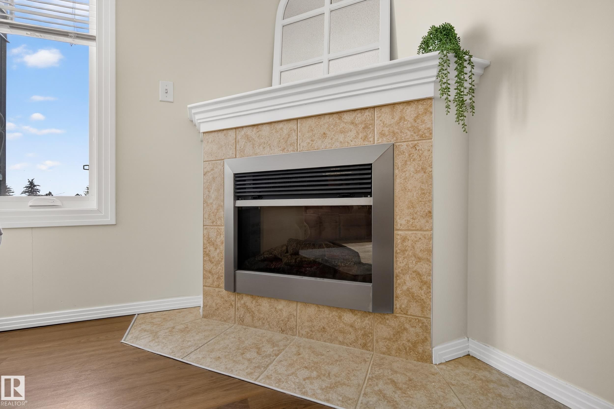 415 12111 51 Avenue, Edmonton, AB - Indoor Photo Showing Living Room With Fireplace