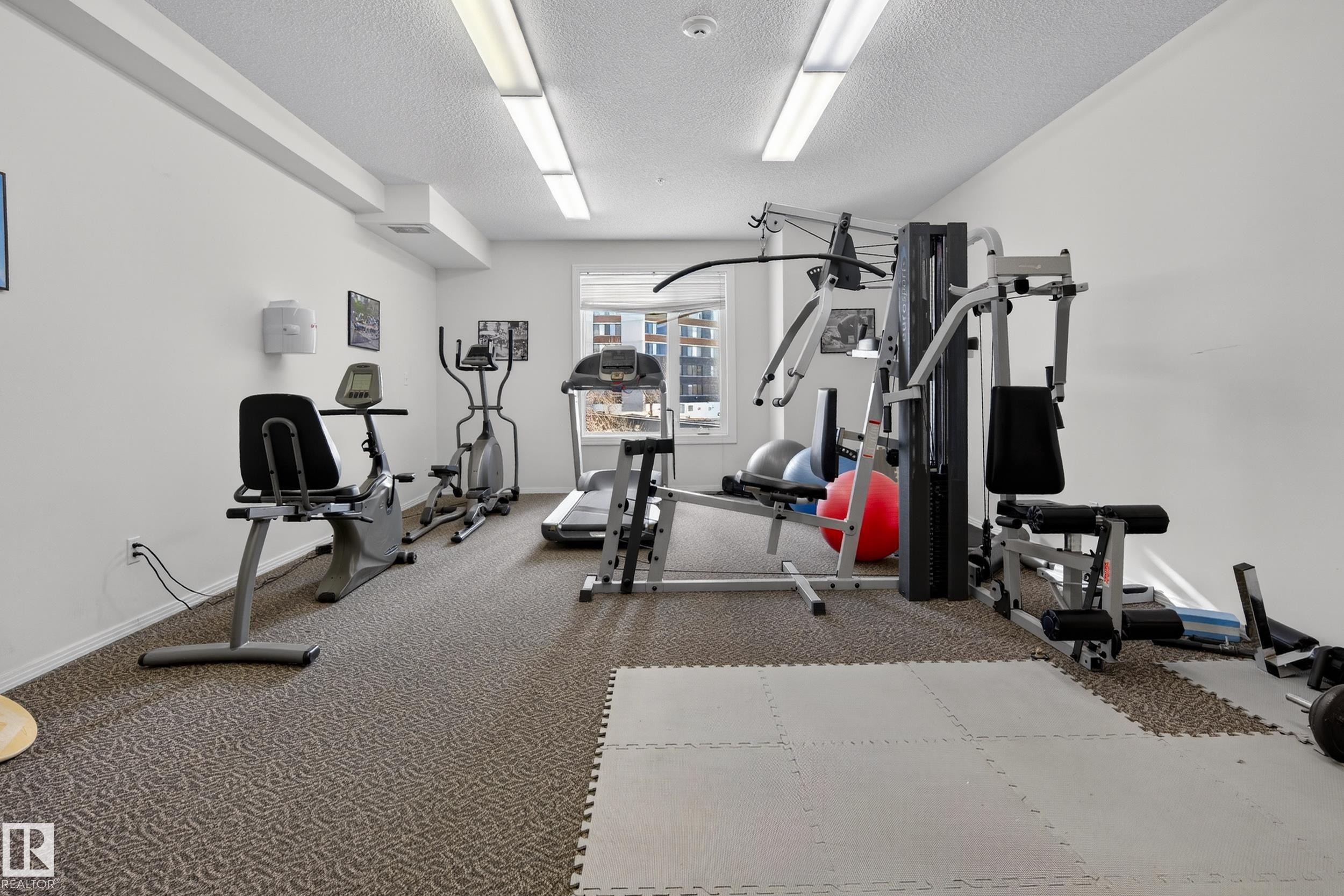 415 12111 51 Avenue, Edmonton, AB - Indoor Photo Showing Gym Room