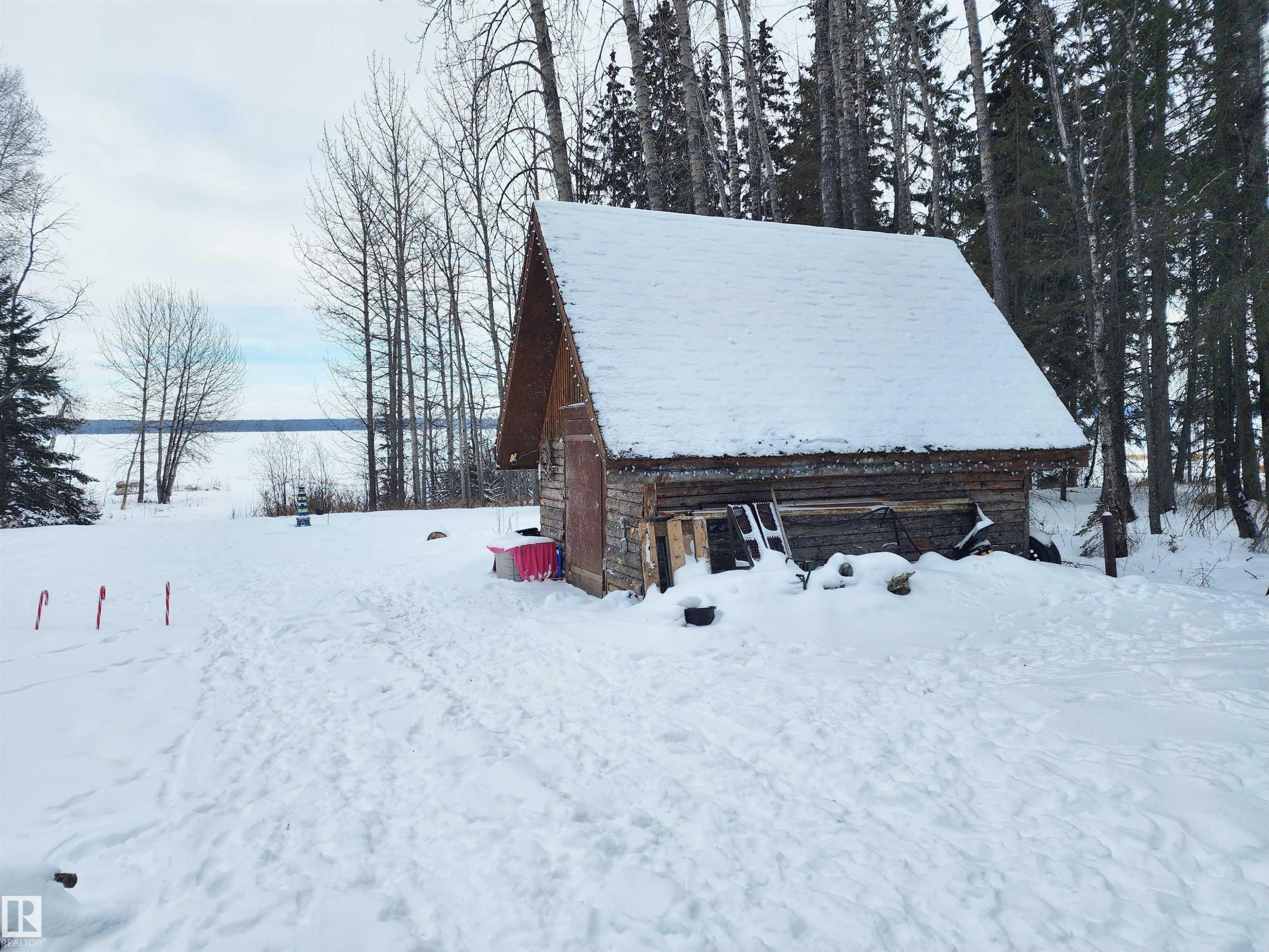 37 61076 Twp Road 462 A, Rural Wetaskiwin County, AB - Outdoor With View