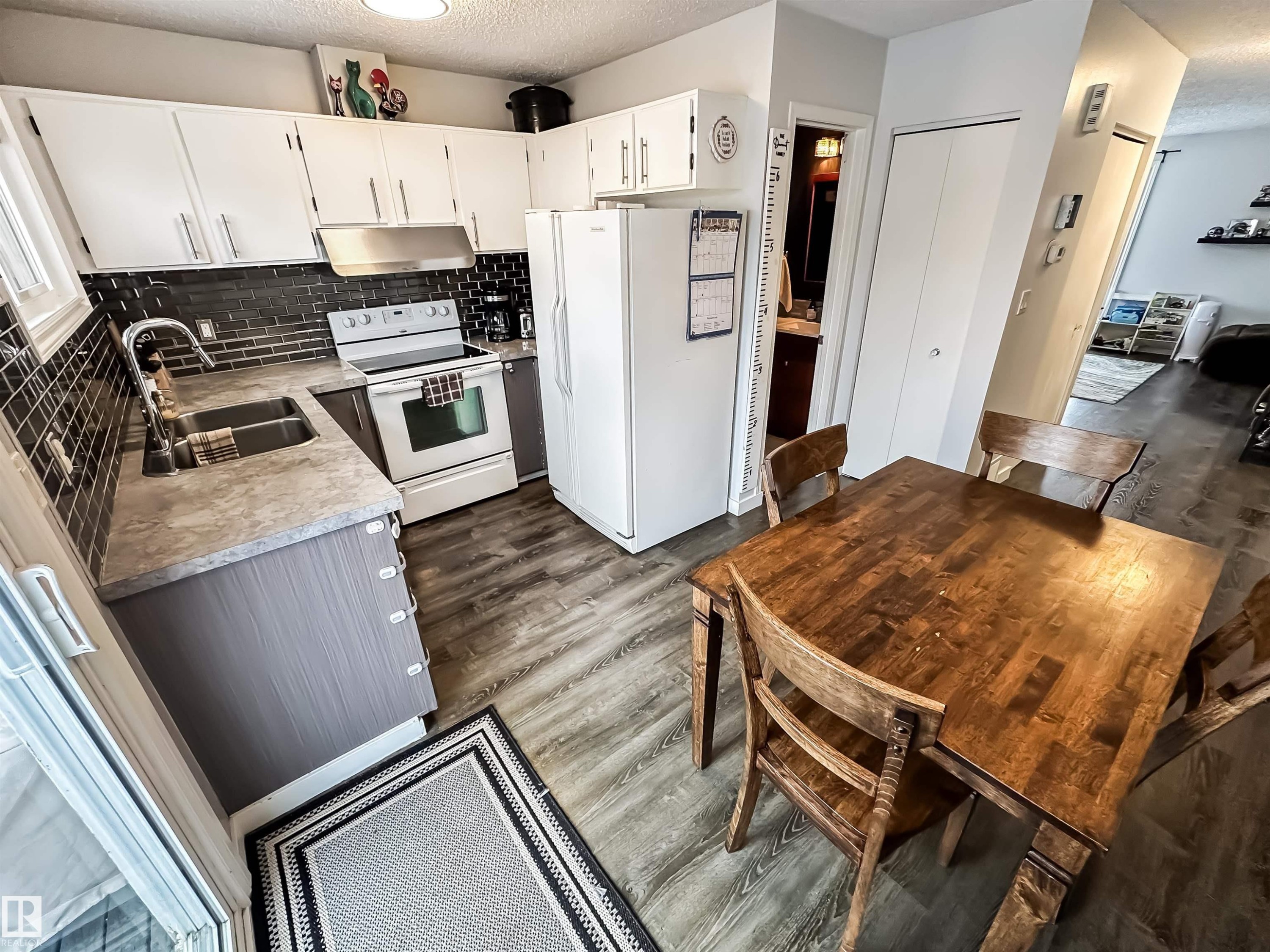 3521 41B Avenue, Edmonton, AB - Indoor Photo Showing Kitchen With Double Sink