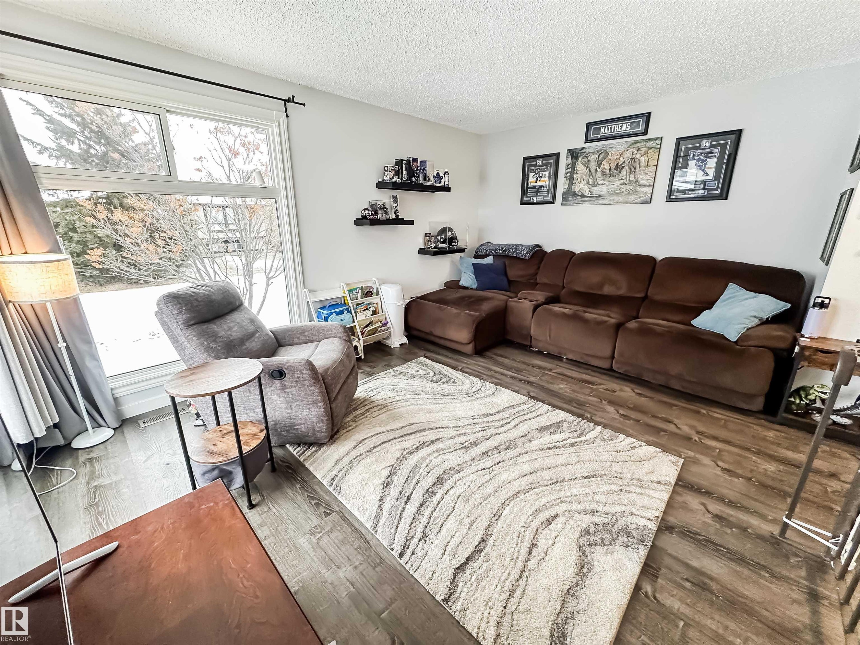 3521 41B Avenue, Edmonton, AB - Indoor Photo Showing Living Room