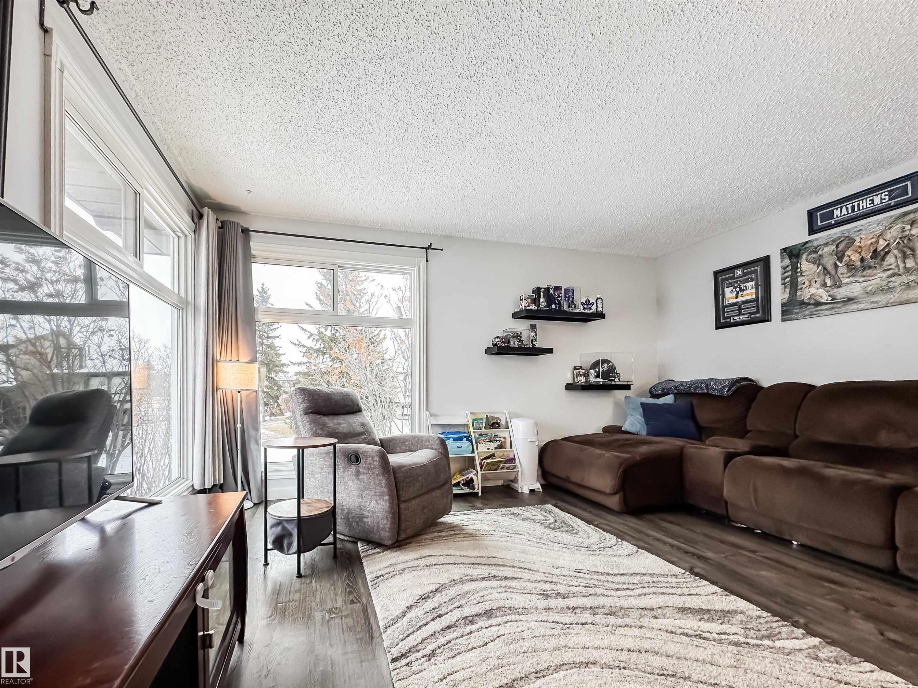 3521 41B Avenue, Edmonton, AB - Indoor Photo Showing Living Room