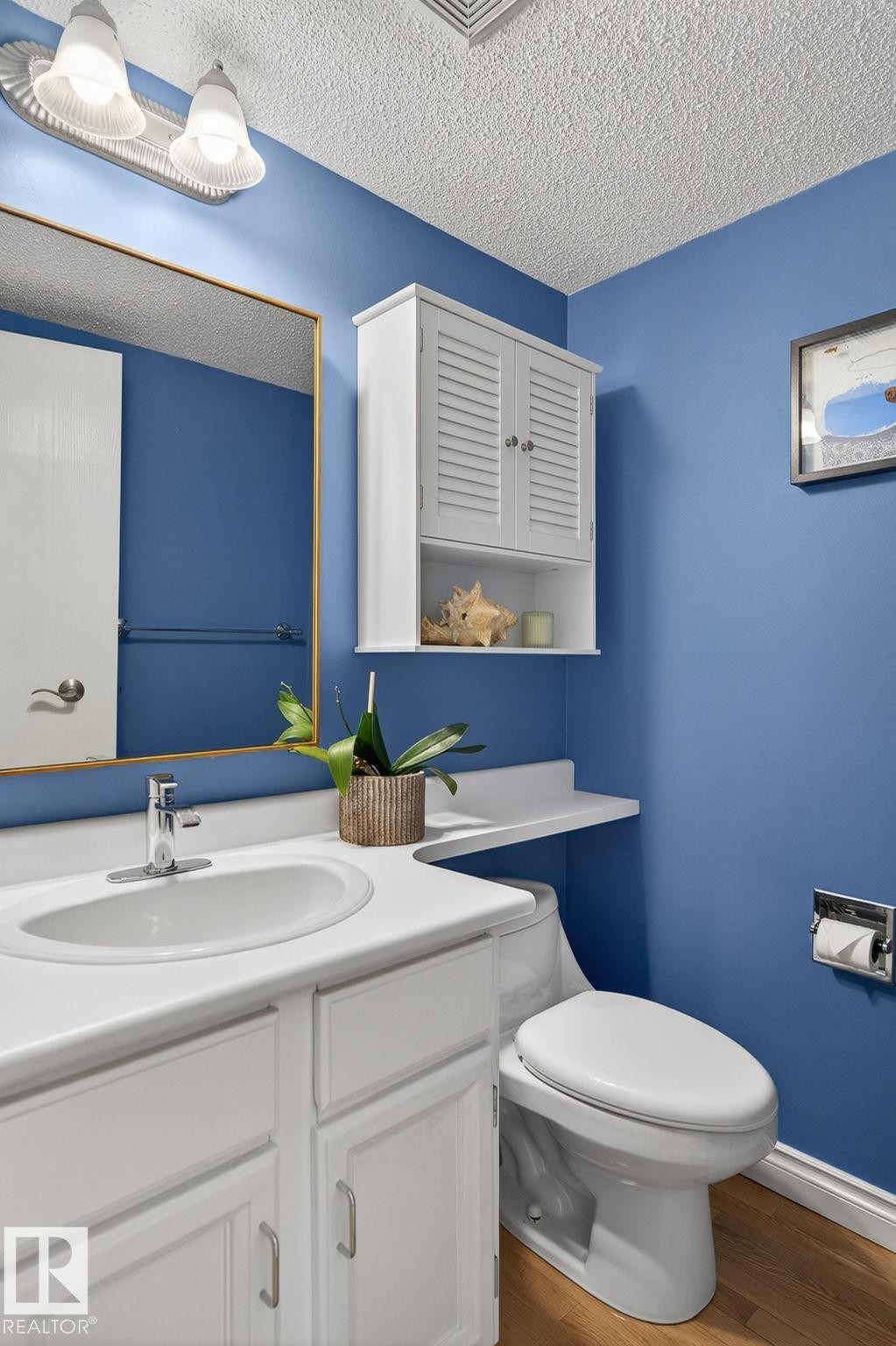 11349 22 Avenue, Edmonton, AB - Indoor Photo Showing Bathroom