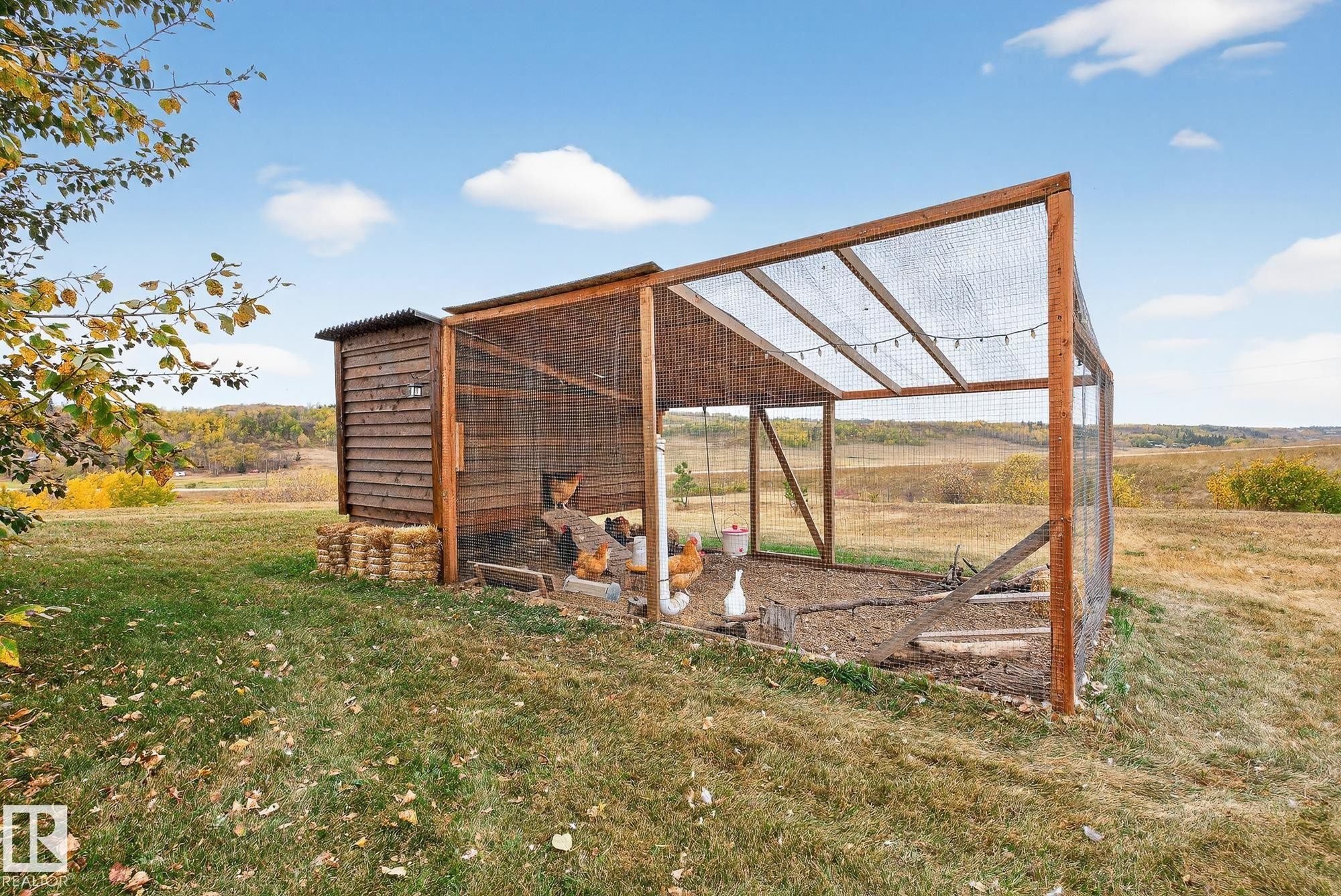 View of chicken coop with a yard - 23509A Twp Road 484, Rural Leduc County, AB - Outdoor With View