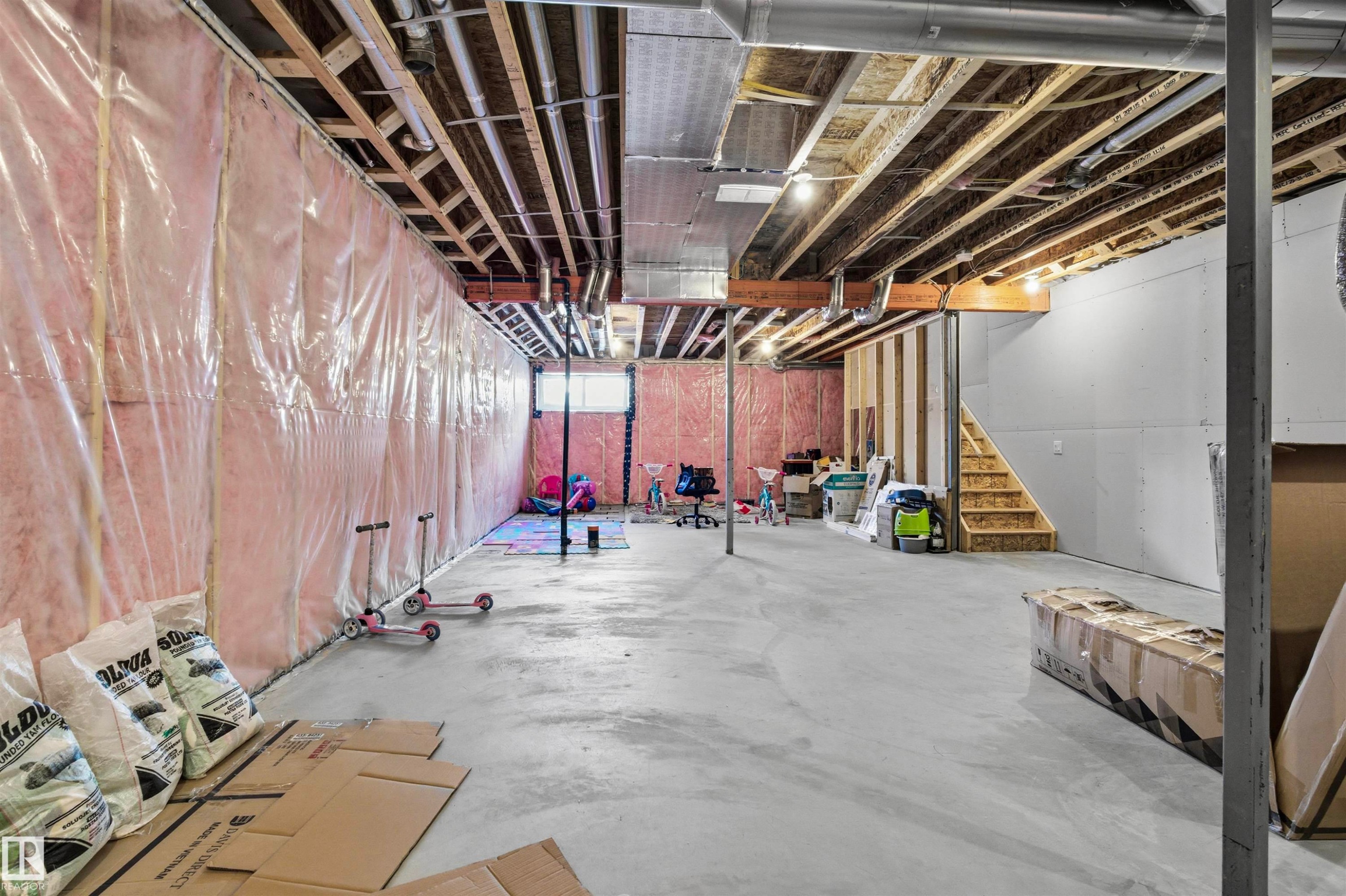 3888 Chrustawka Place, Edmonton, AB - Indoor Photo Showing Basement