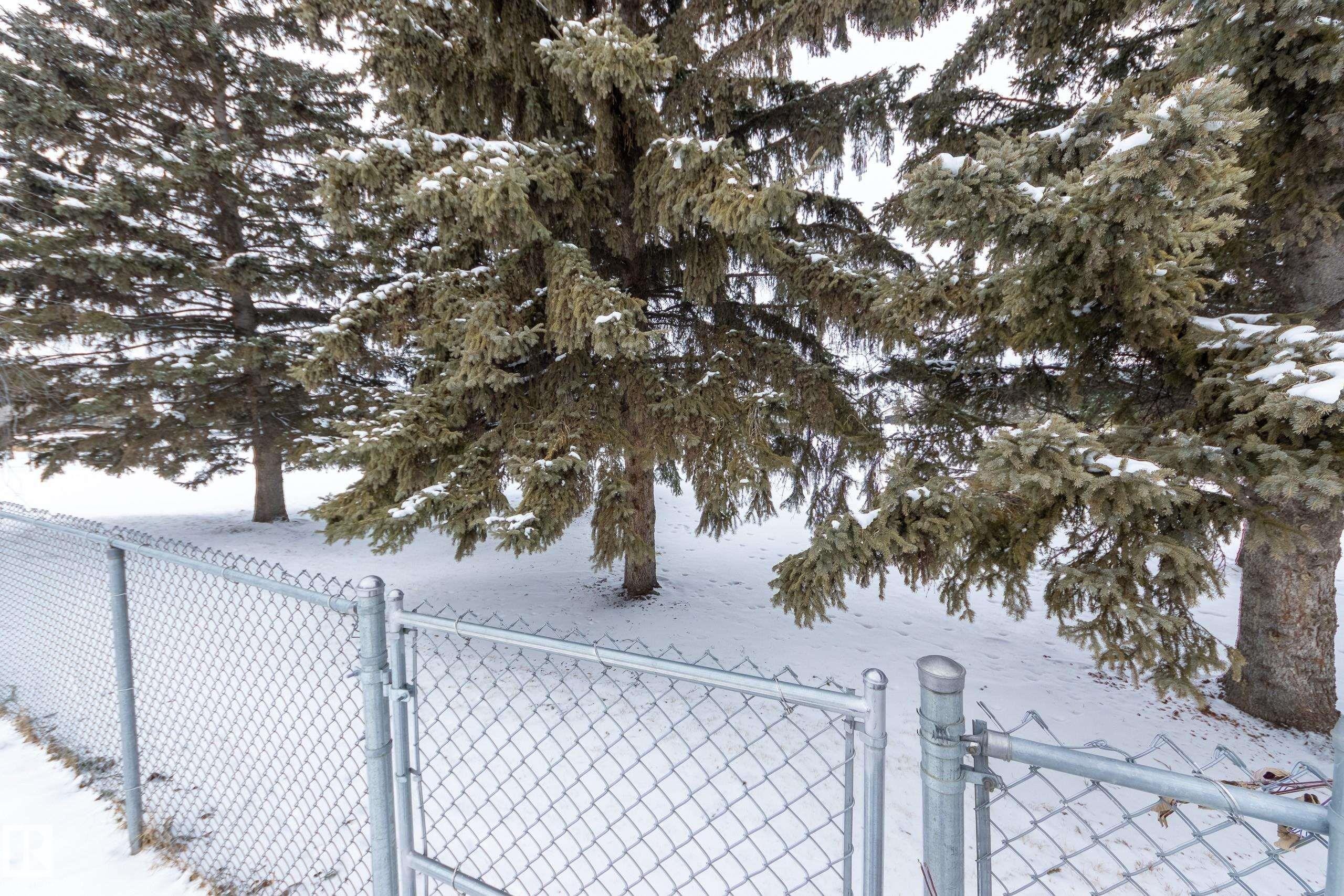 5 Greenbriar Place, Stony Plain, AB - Outdoor