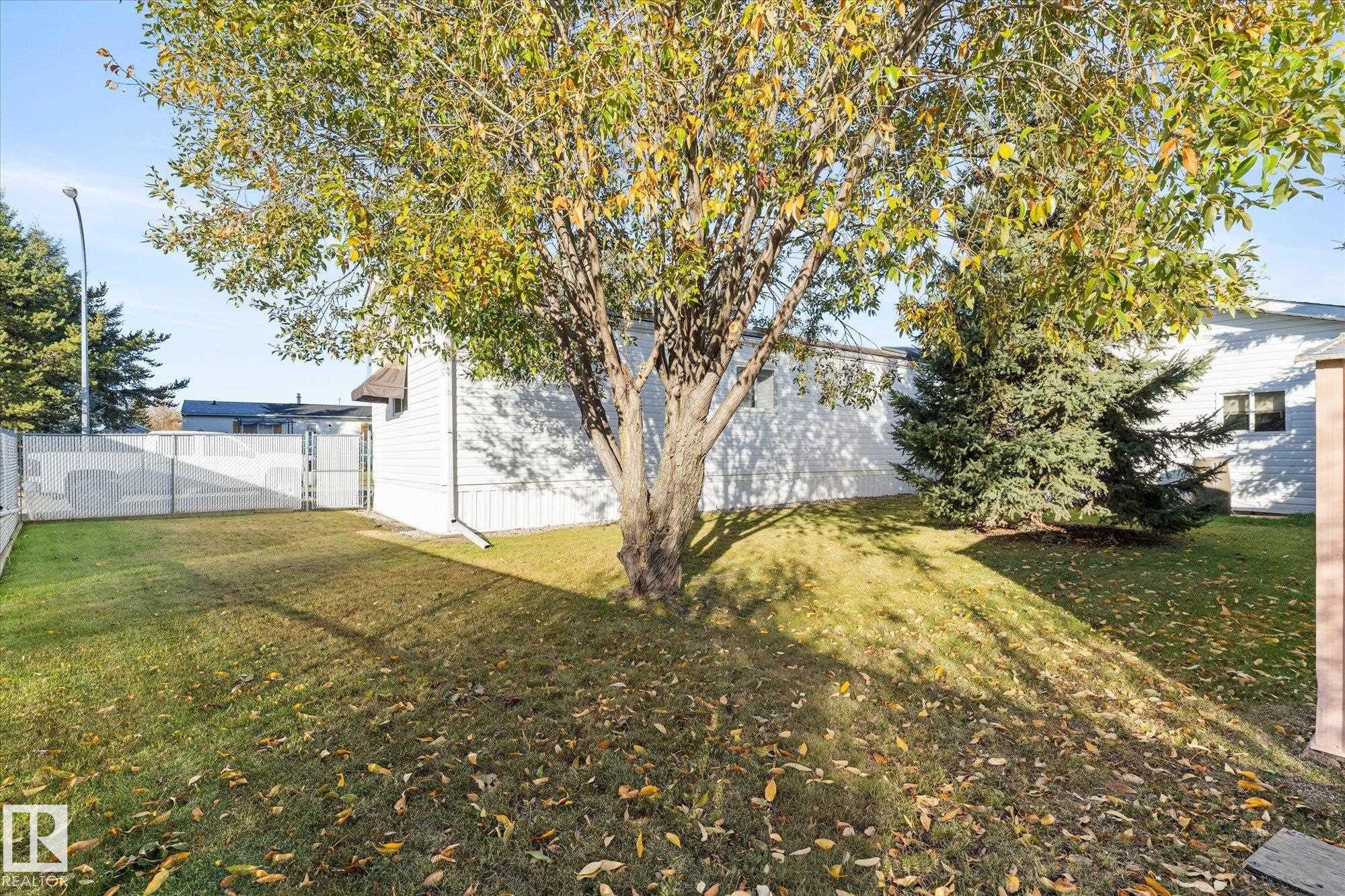 View of yard - 89-3400 48, Stony Plain, AB - Outdoor