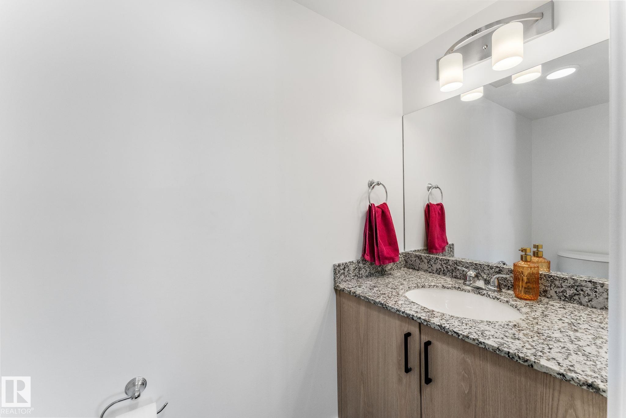 302 9504 182 Street, Edmonton, AB - Indoor Photo Showing Bathroom