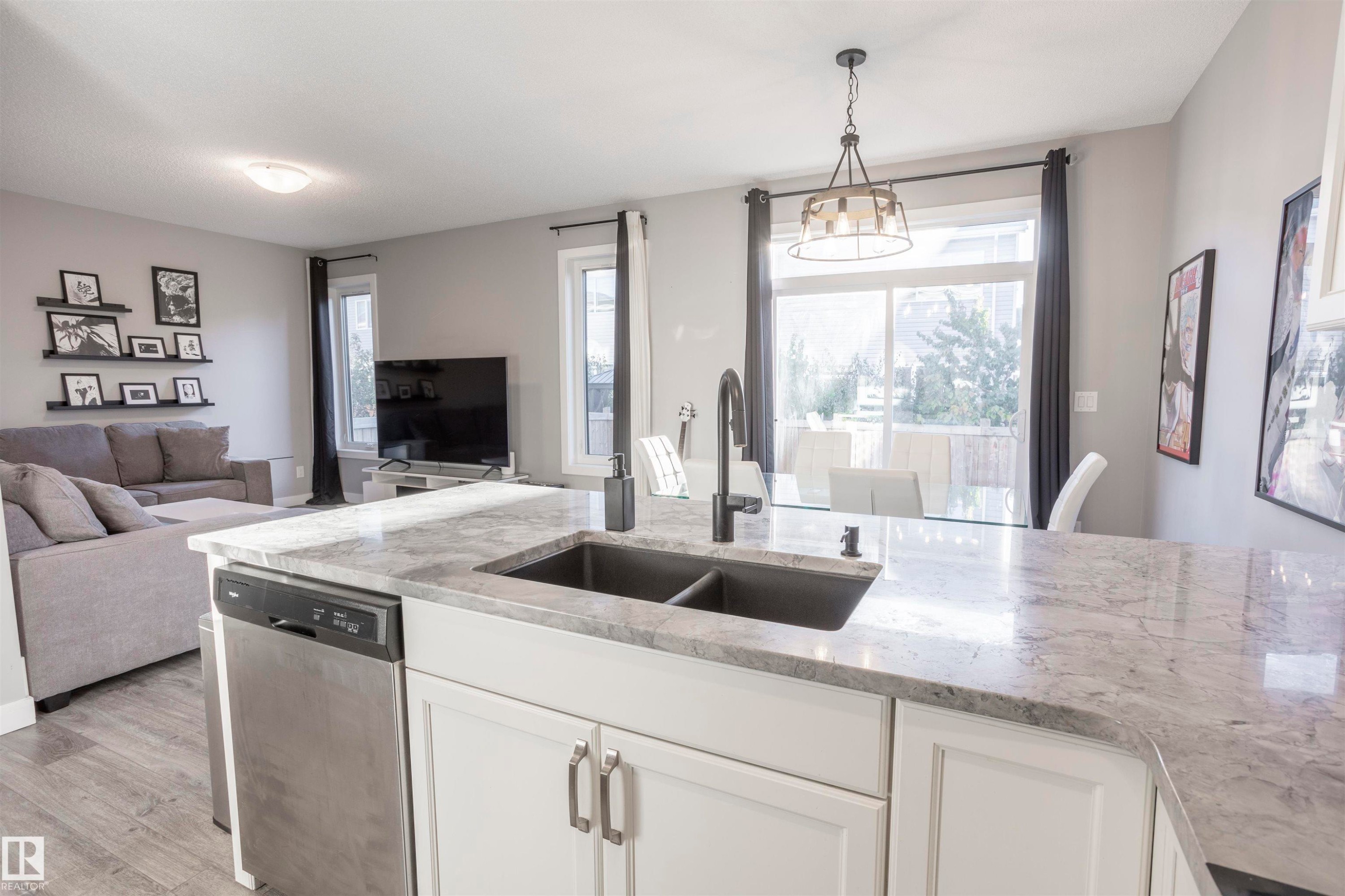 20031 18 Avenue, Edmonton, AB - Indoor Photo Showing Kitchen With Double Sink