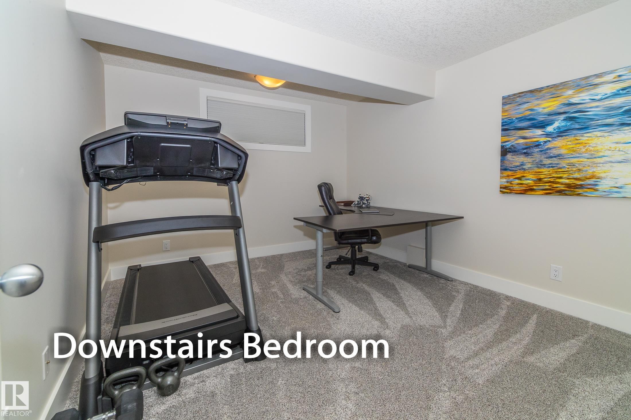 6152 Stinson Way, Edmonton, AB - Indoor Photo Showing Gym Room