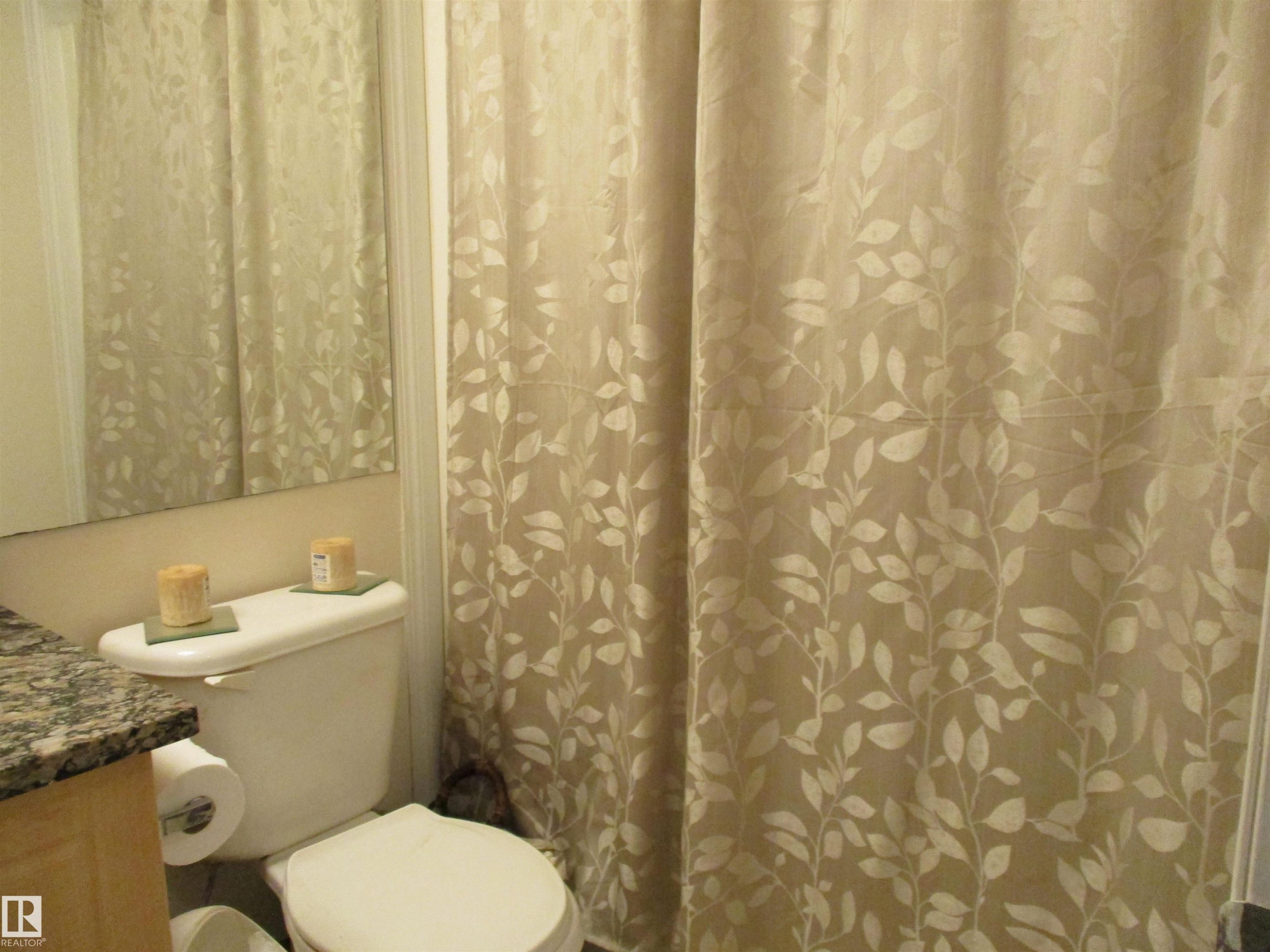 14043 134 Street, Edmonton, AB - Indoor Photo Showing Bathroom
