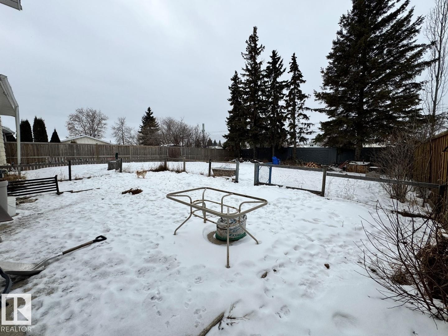 3536 65 Street, Edmonton, AB - Outdoor