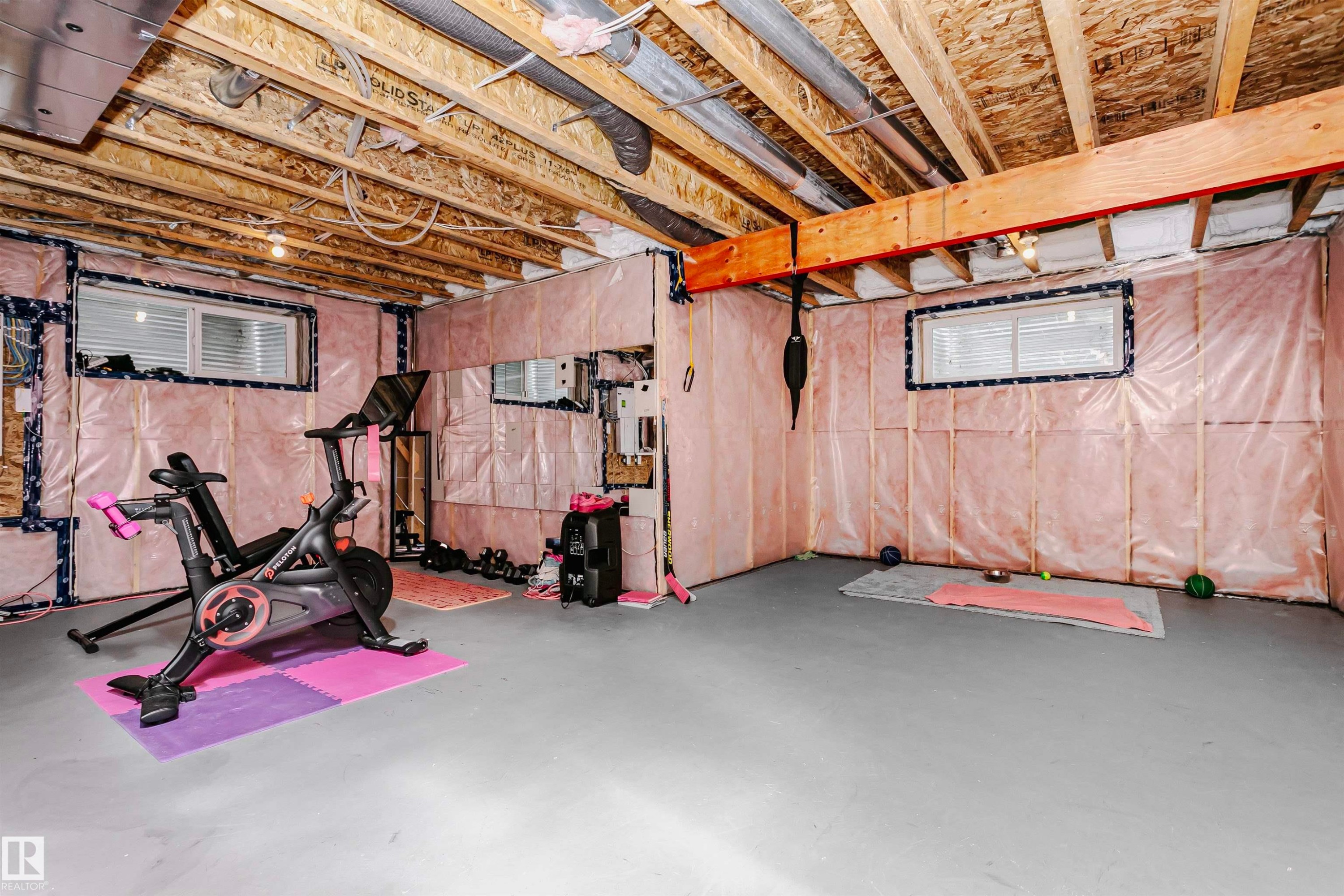 Exercise area featuring concrete floors - 7322 Chivers Crescent, Edmonton, AB - Indoor Photo Showing Basement