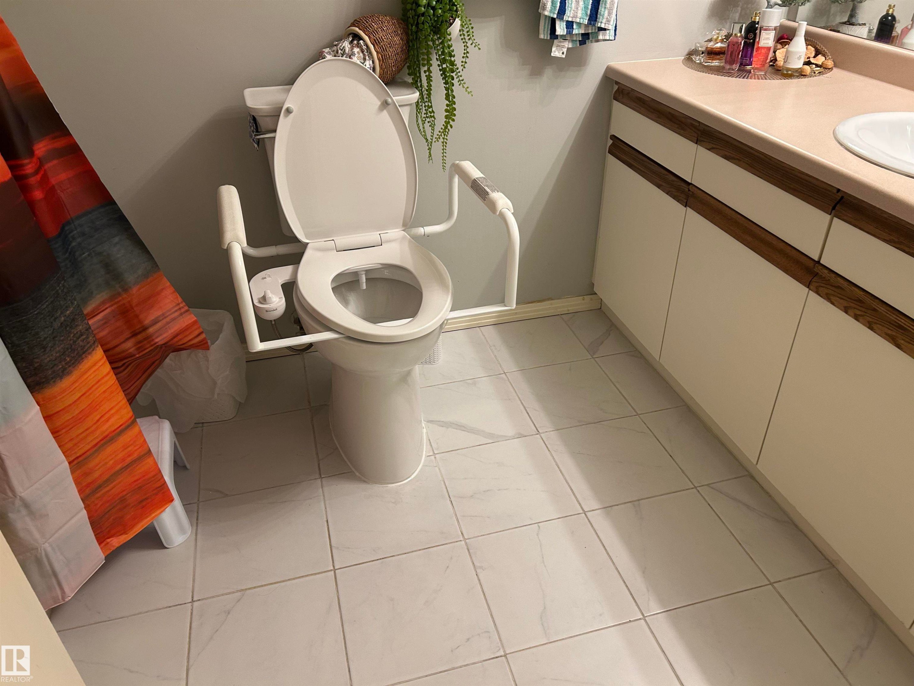 Bathroom with toilet and vanity - 202 18020 95 Avenue, Edmonton, AB - Indoor Photo Showing Bathroom