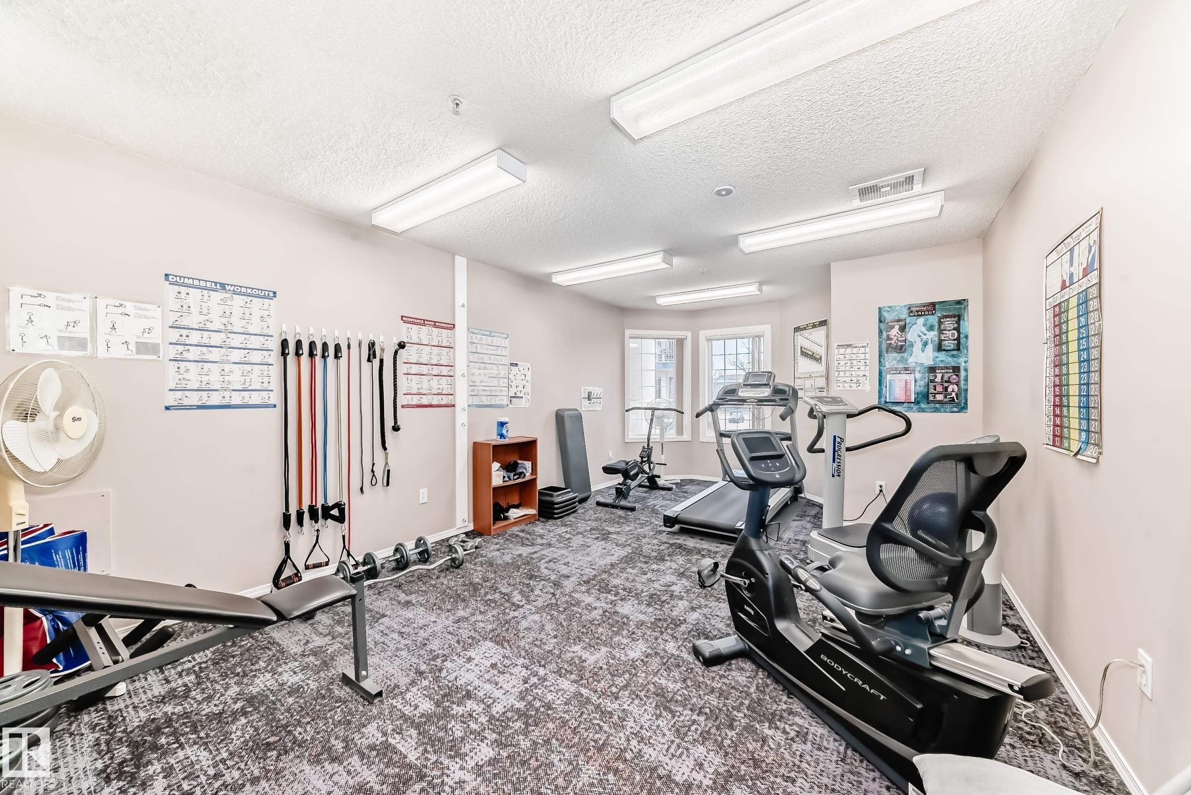 302 13450 114 Avenue, Edmonton, AB - Indoor Photo Showing Gym Room