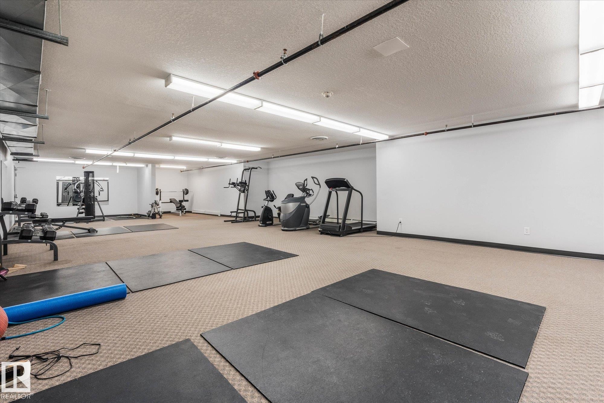 117 5005 165 Avenue, Edmonton, AB - Indoor Photo Showing Gym Room