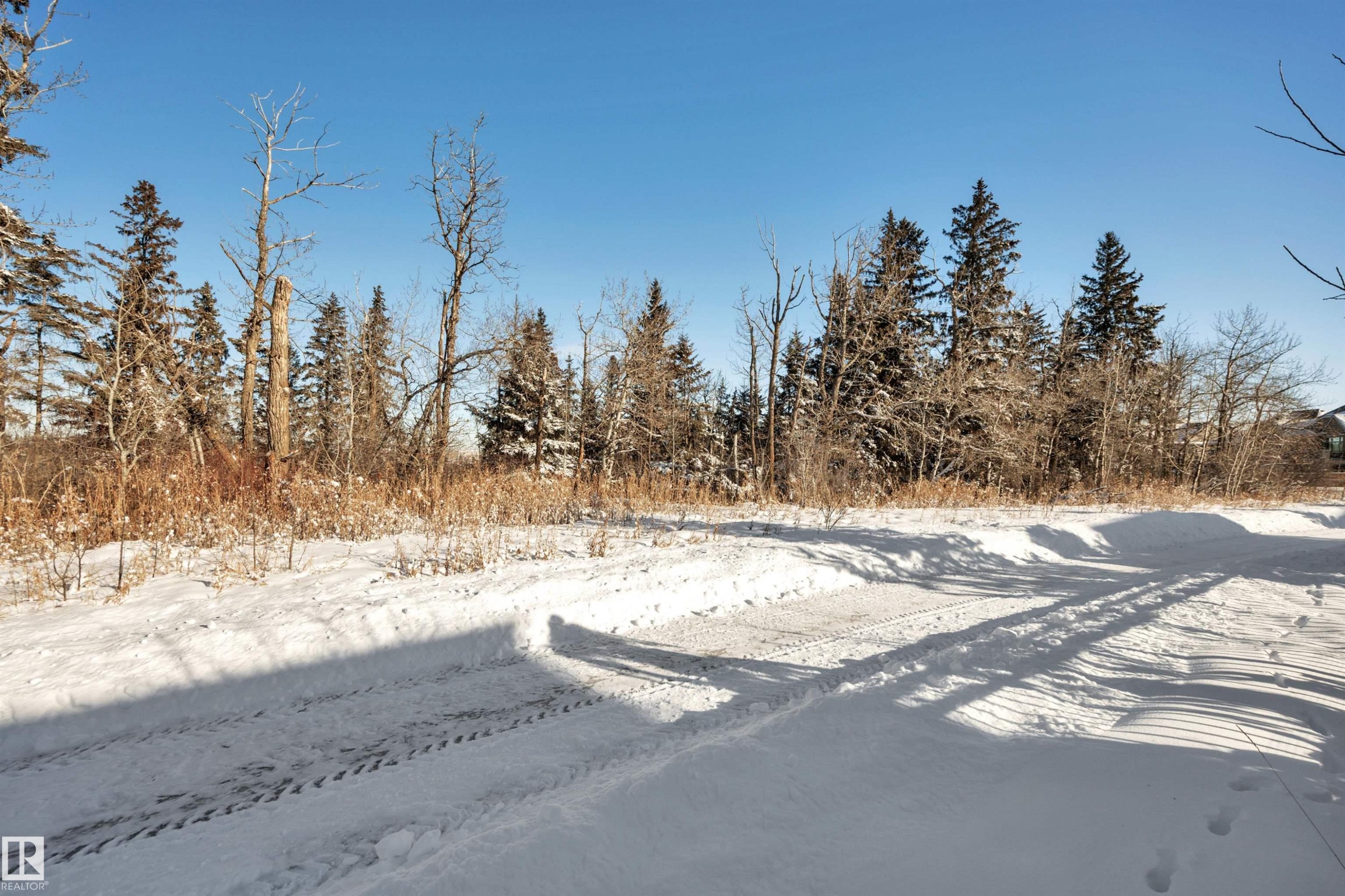 699 Howatt Drive, Edmonton, AB - Outdoor With View