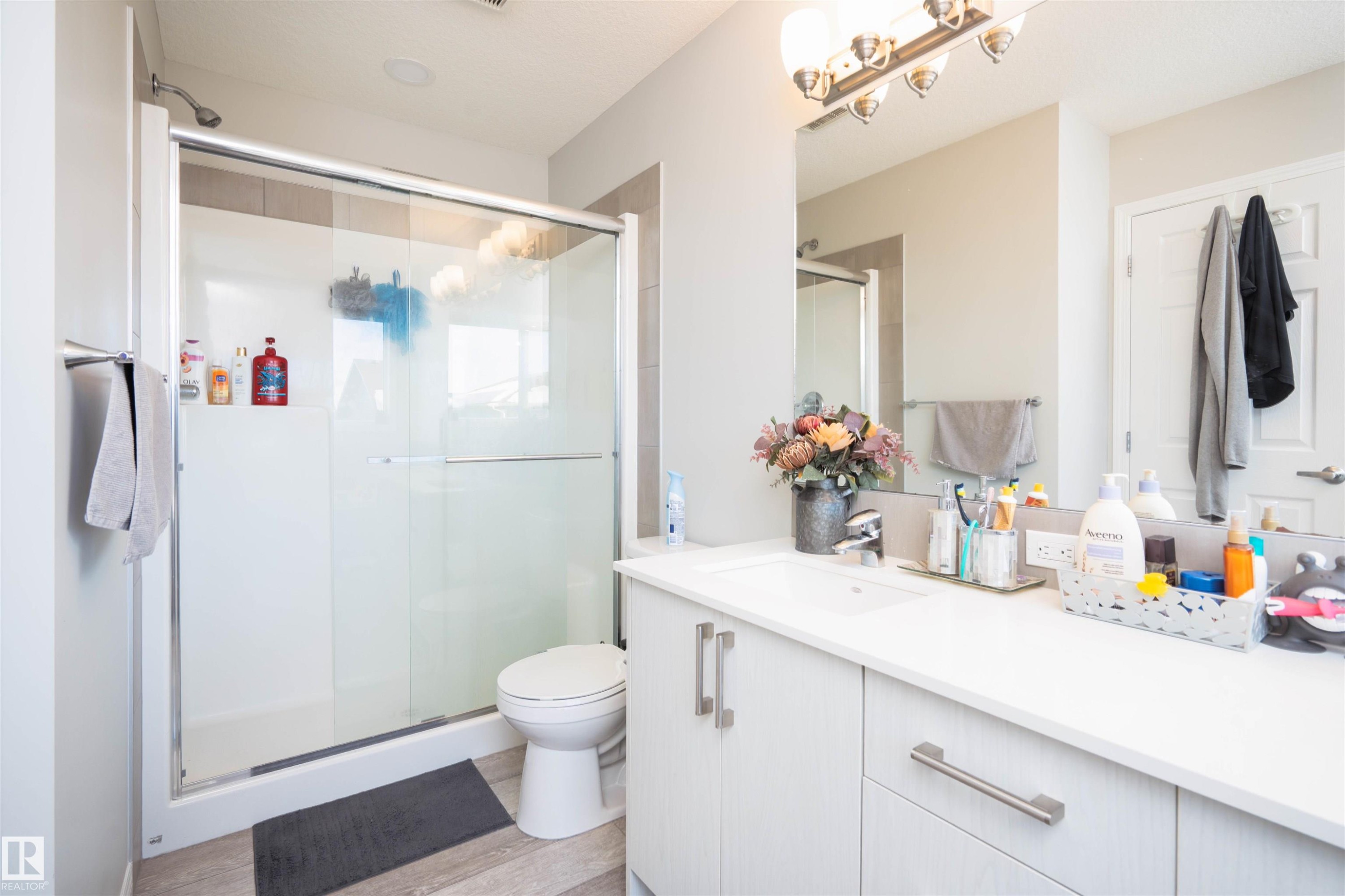 1308 Plum Link Link, Edmonton, AB - Indoor Photo Showing Bathroom