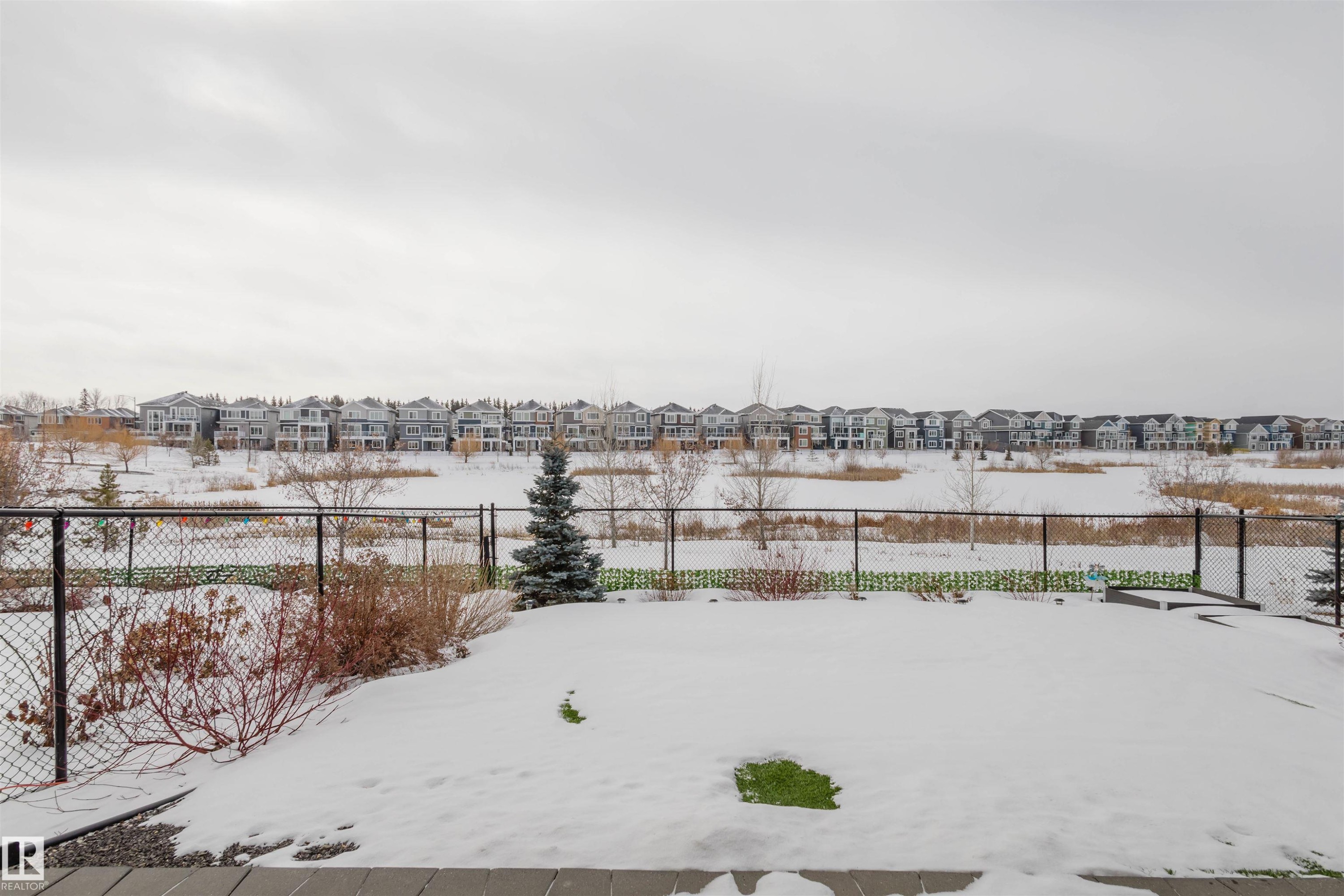 Yard covered in snow featuring a residential view - 16217 32 Avenue, Edmonton, AB - Outdoor With View