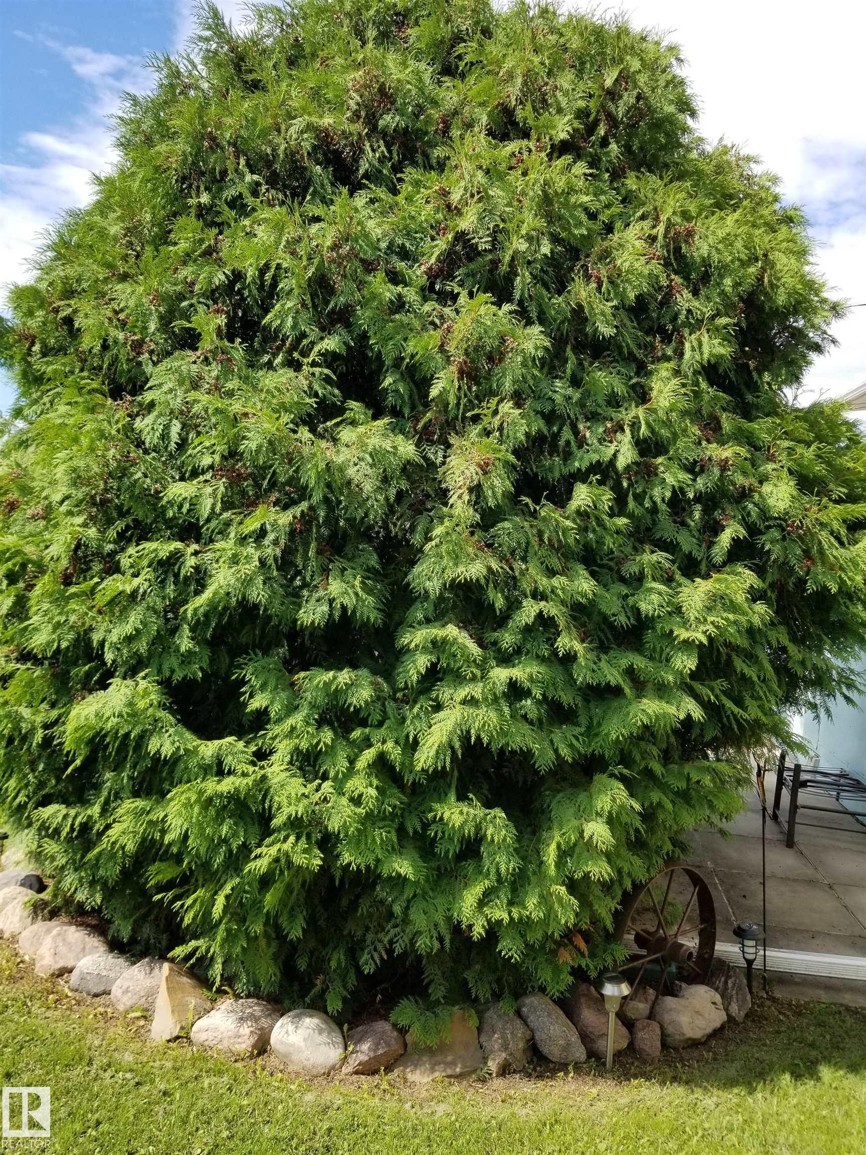 5307 Willow Drive, Boyle, AB - Outdoor