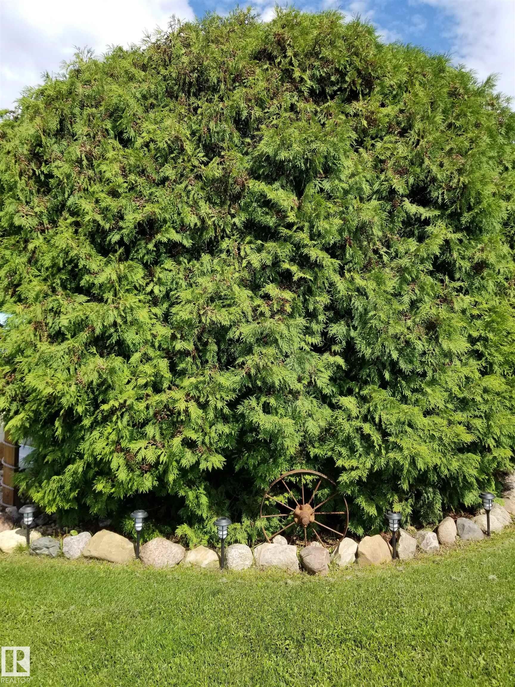 5307 Willow Drive, Boyle, AB - Outdoor