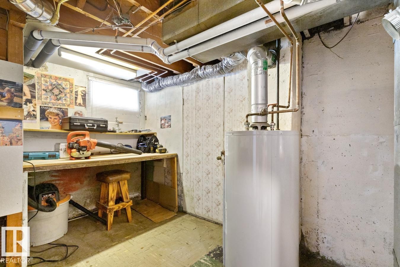 8906 94 Avenue, Edmonton, AB - Indoor Photo Showing Basement