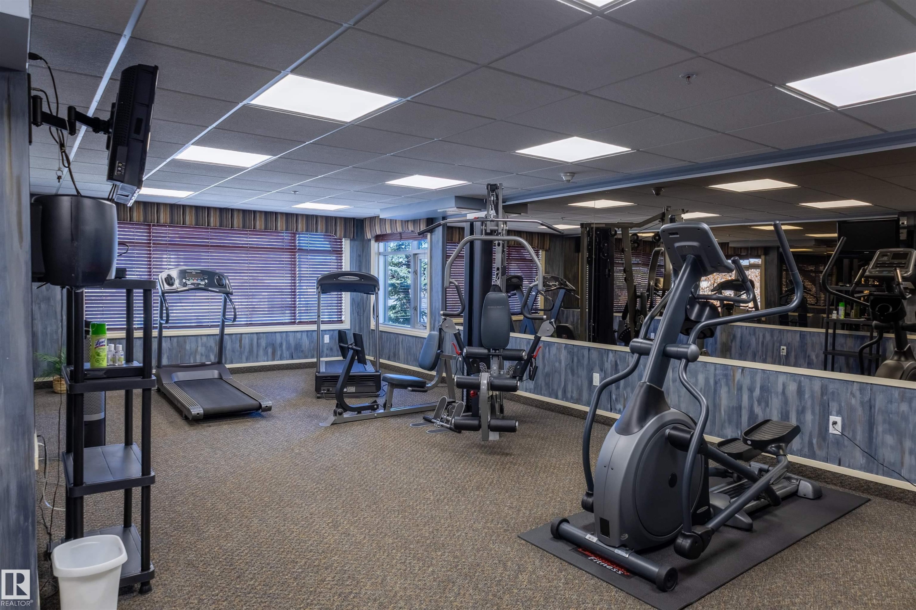 102 1589 Glastonbury Boulevard, Edmonton, AB - Indoor Photo Showing Gym Room