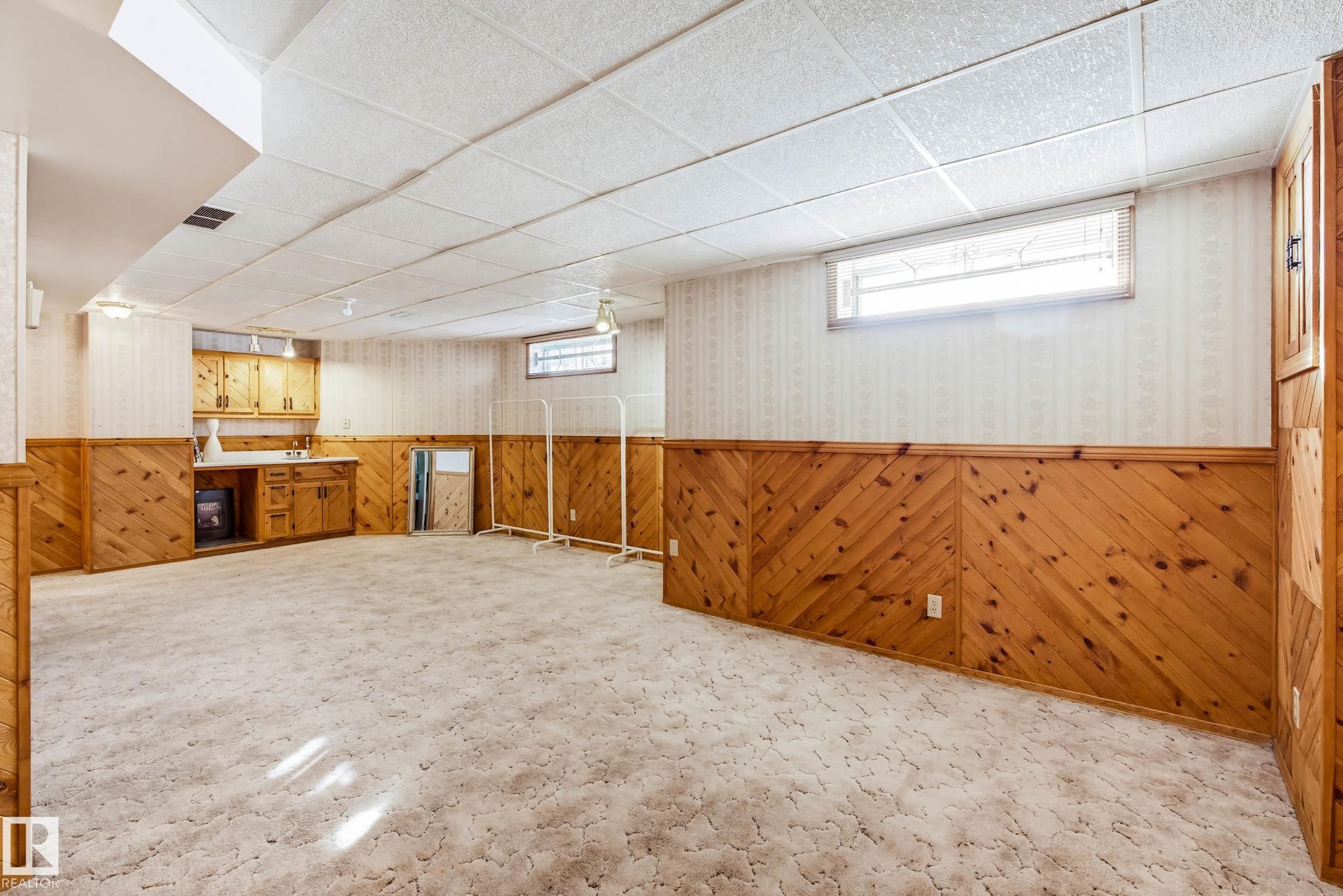 41 903 109 Street Nw, Edmonton, AB - Indoor Photo Showing Basement