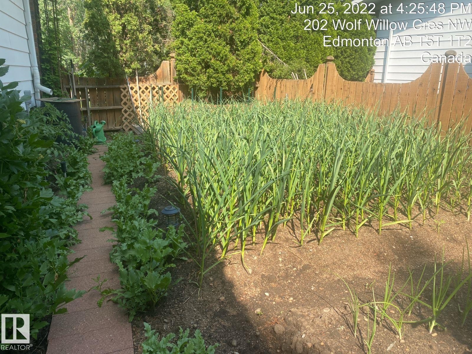 View of fenced yard - 206 Wolf Willow Crescent, Edmonton, AB - Outdoor